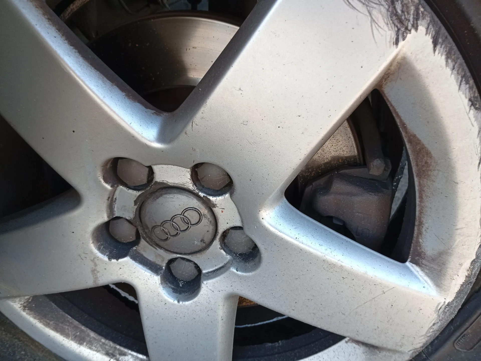 Pinza Freno Delantera Derecha para Audi A3 (8L1)