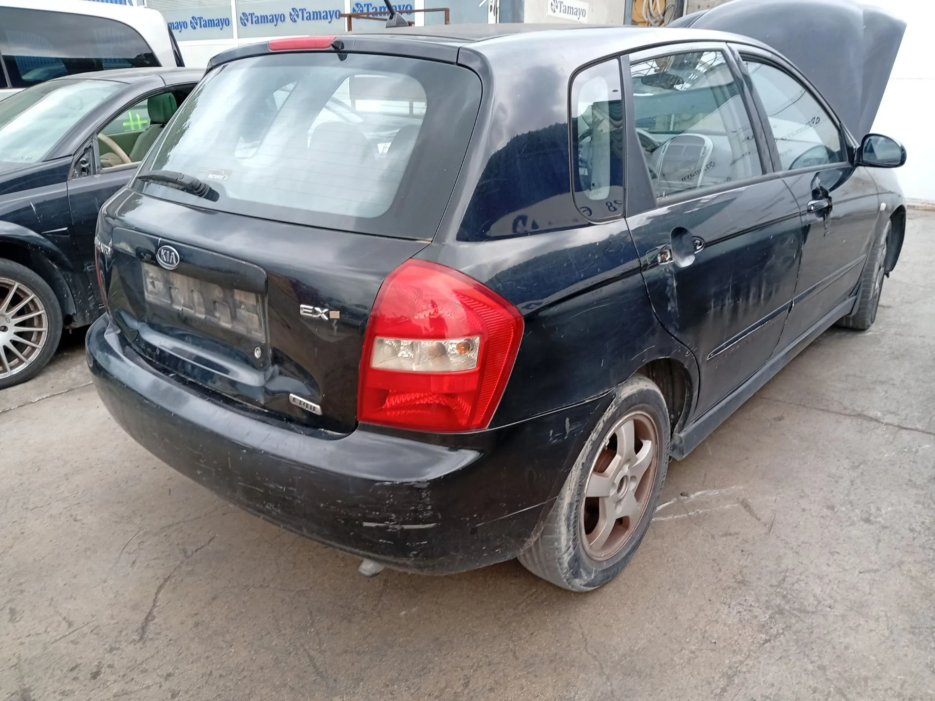 Amortiguador Trasero Derecho para Kia Cerato I Hatchback (Ld)