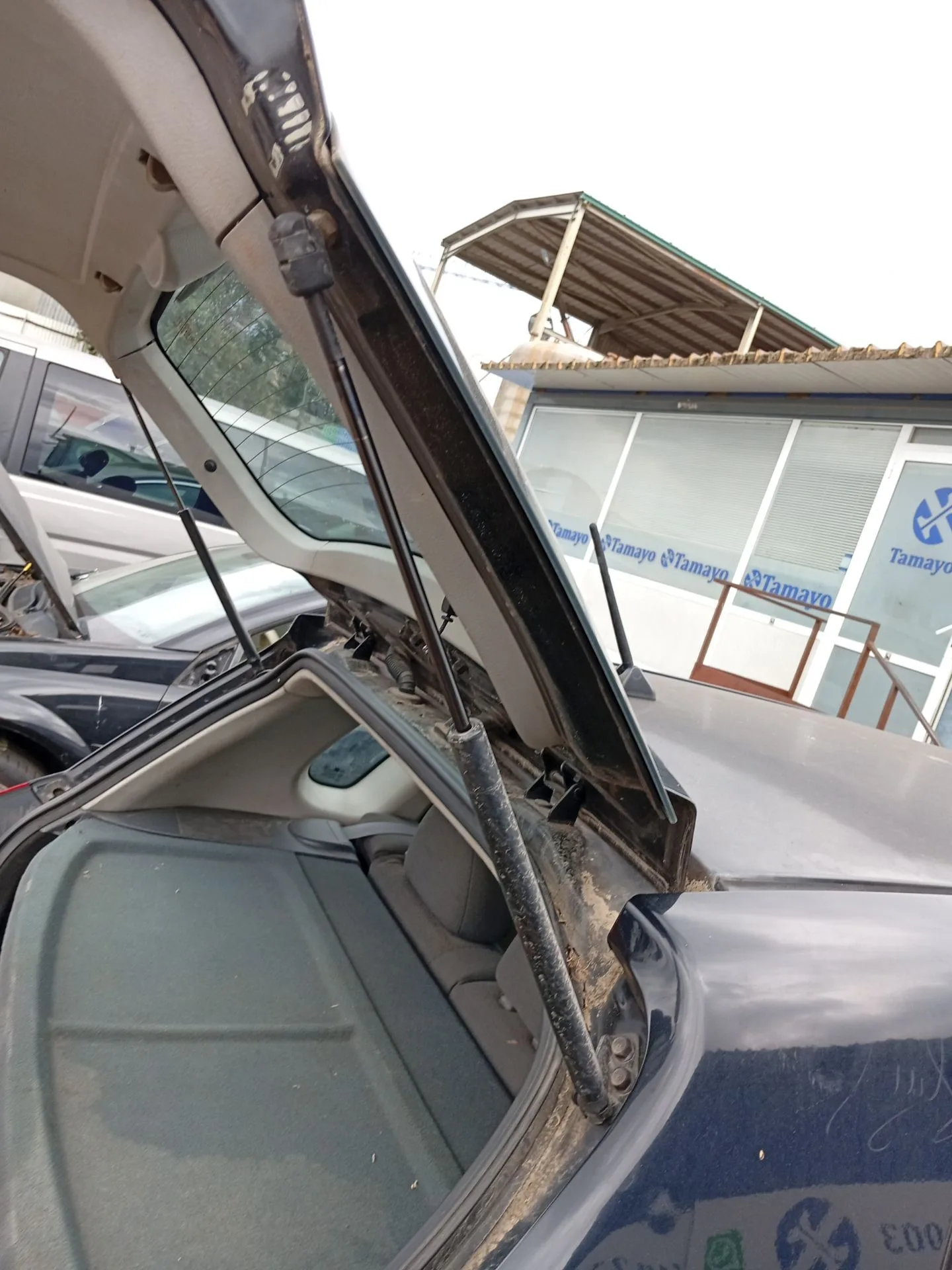Amortiguadores Maletero / Porton para Kia Cerato I Hatchback (Ld)
