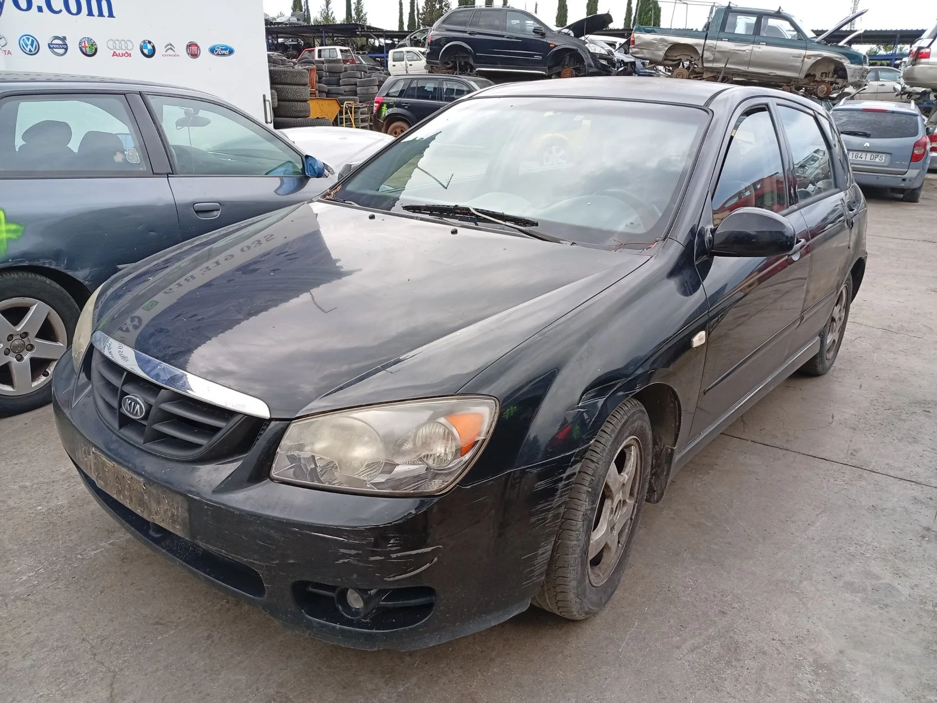 Barra Estabilizadora Delantera para Kia Cerato I Hatchback (Ld)