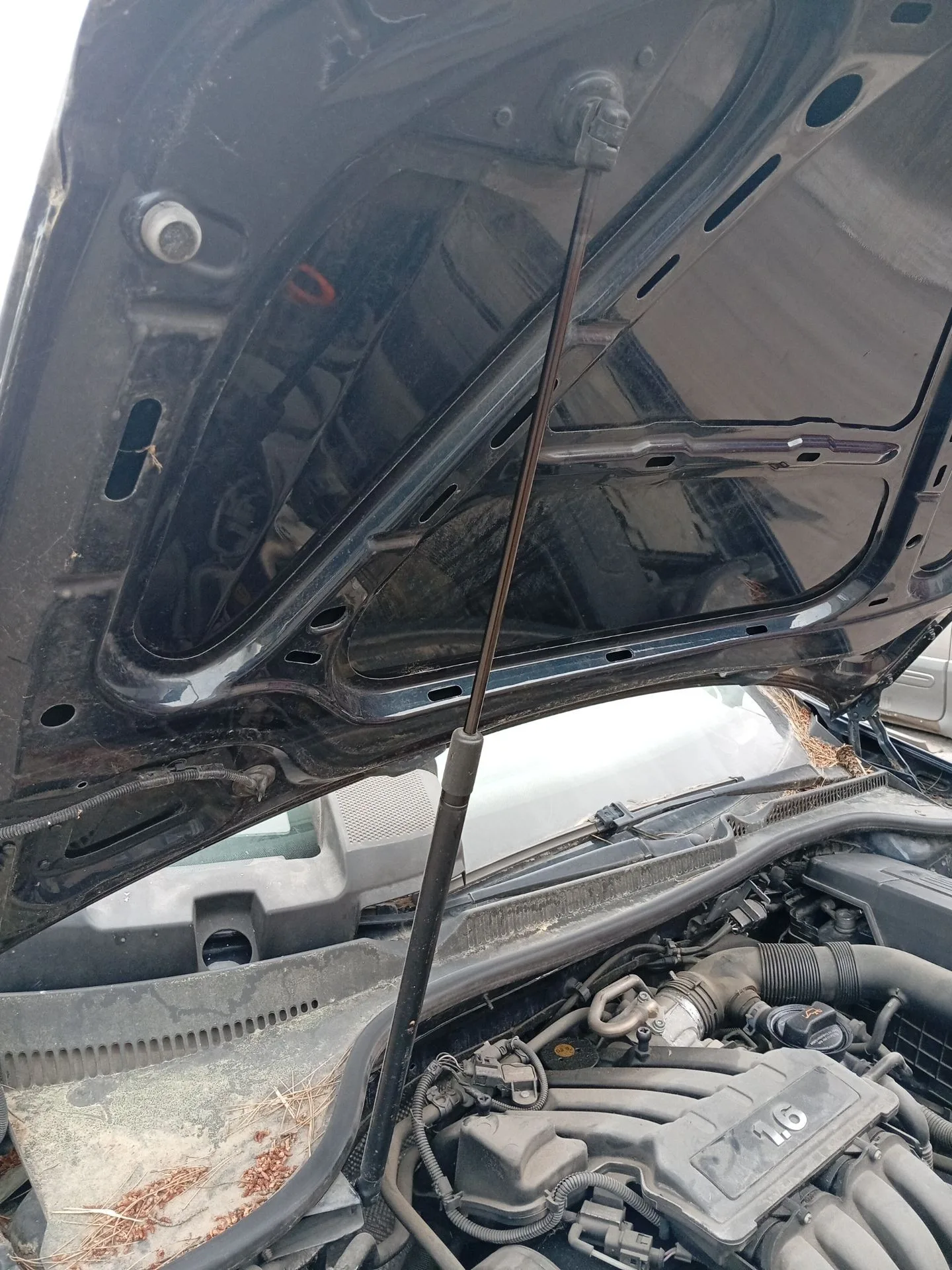 Amortiguadores Capo para Volkswagen Golf V (1K1)