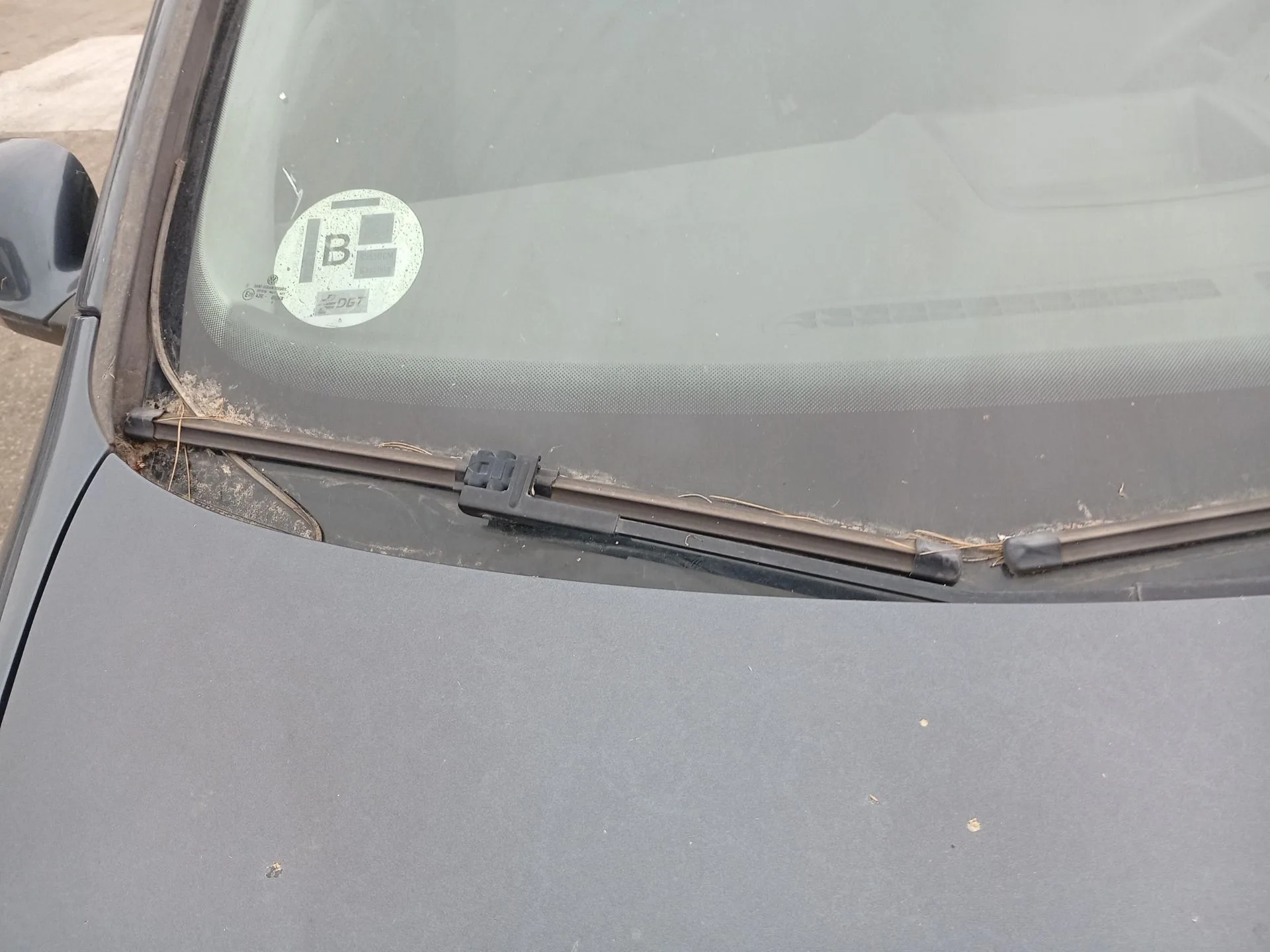 Brazo Limpia Delantero Derecho para Volkswagen Golf V (1K1)
