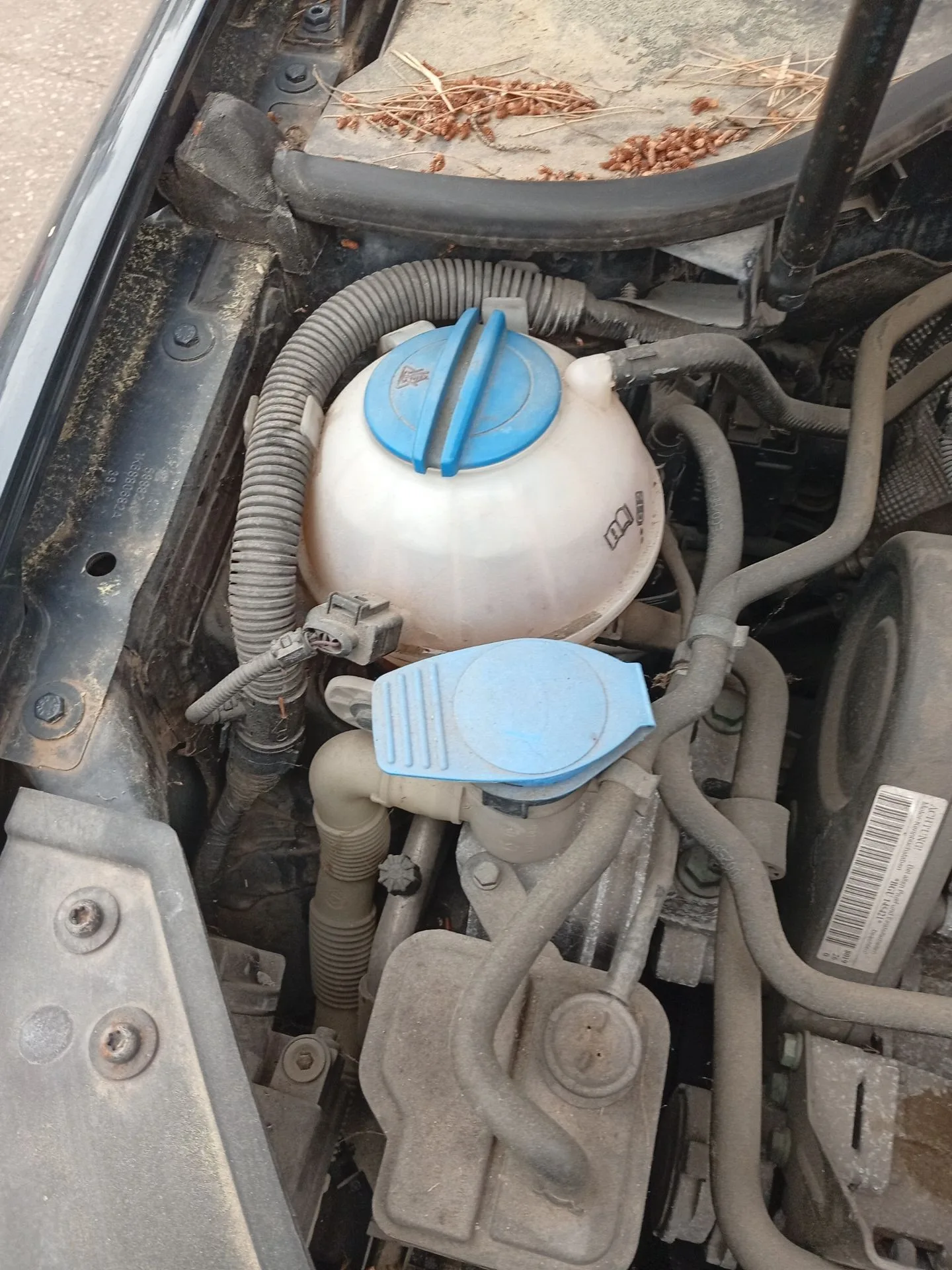 Deposito Limpia para Volkswagen Golf V (1K1)