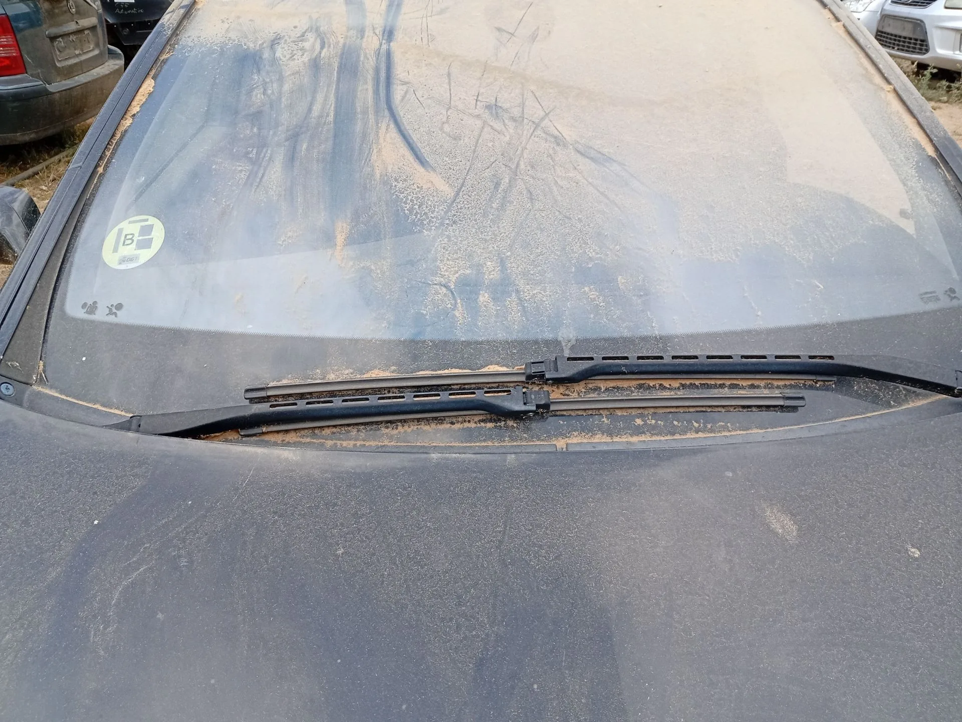 Brazo Limpia Delantero Derecho para Renault Vel Satis (Bj0_)