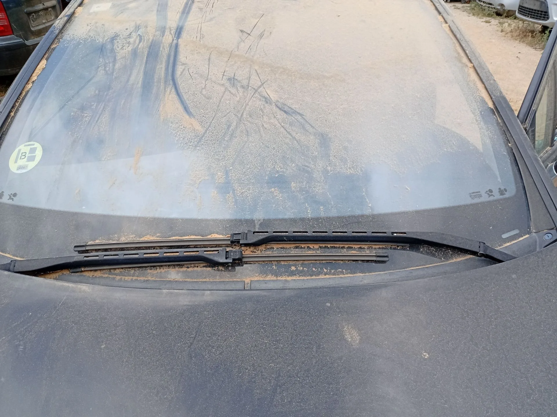 Brazo Limpia Delantero Izquierdo para Renault Vel Satis (Bj0_)