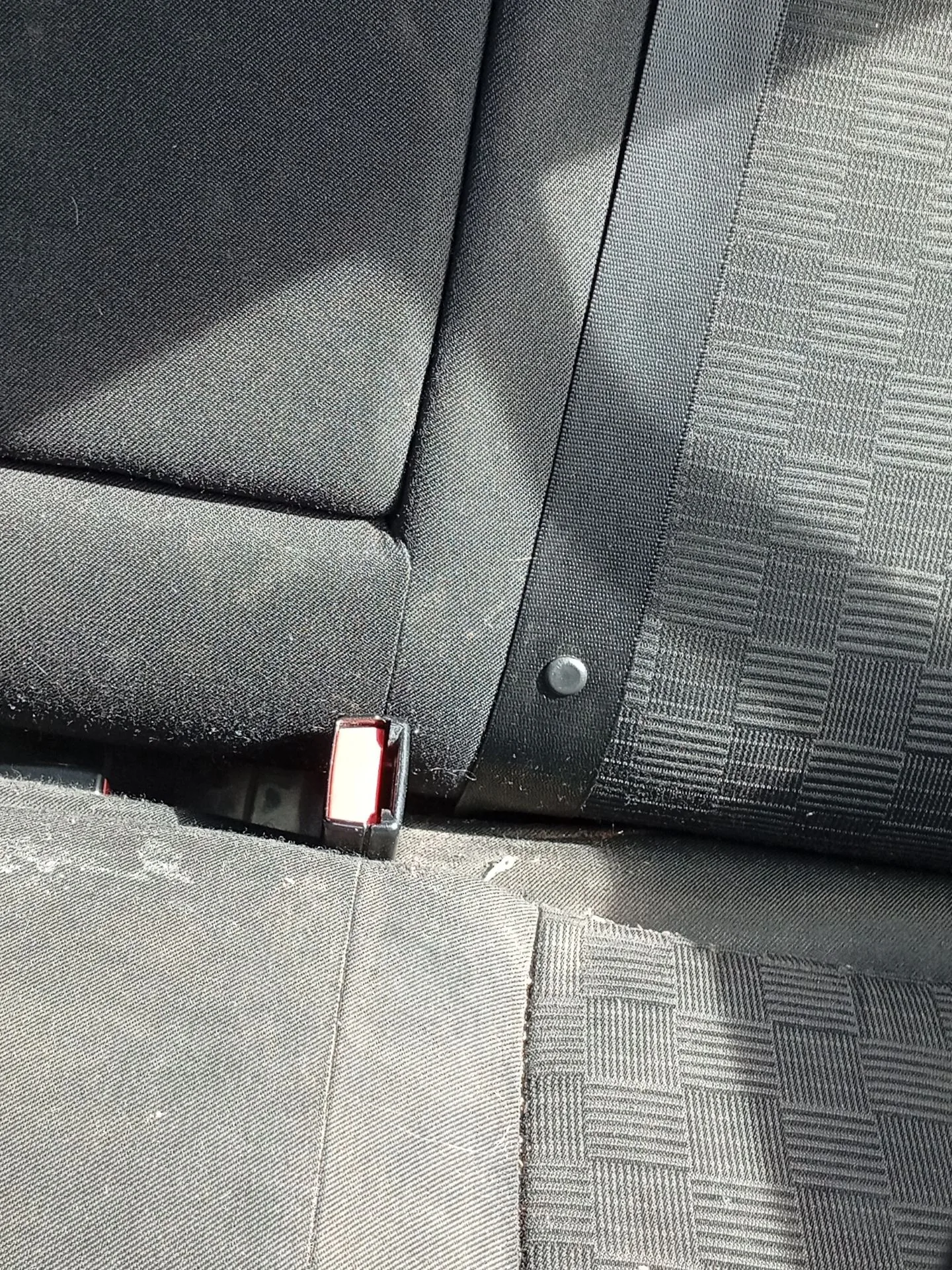 Enganche Cinturon Trasero Izquierdo para Mercedes-Benz Clase C (W203)
