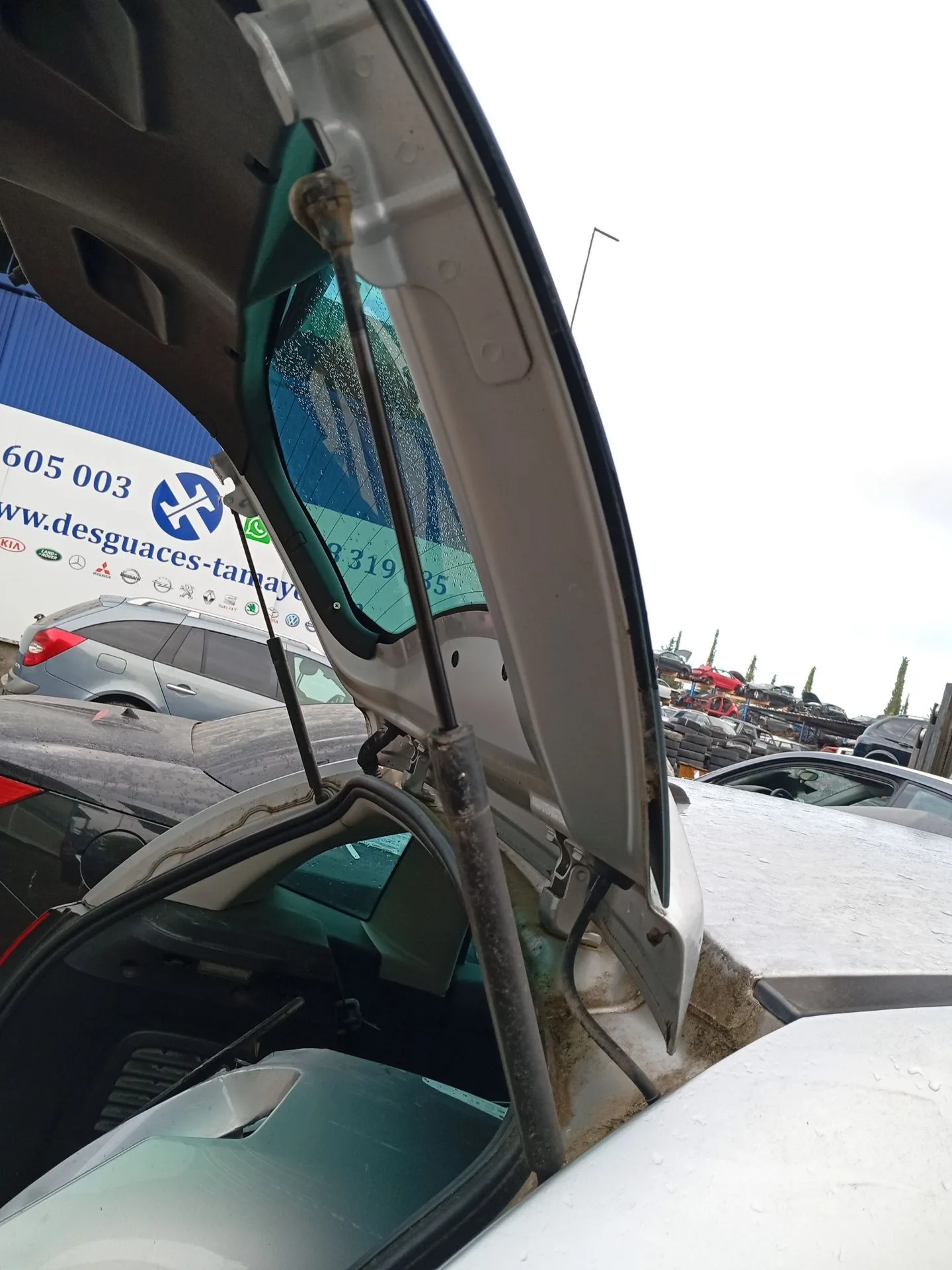 Amortiguadores Maletero / Porton para Citroën C3 Ii (Sc_)