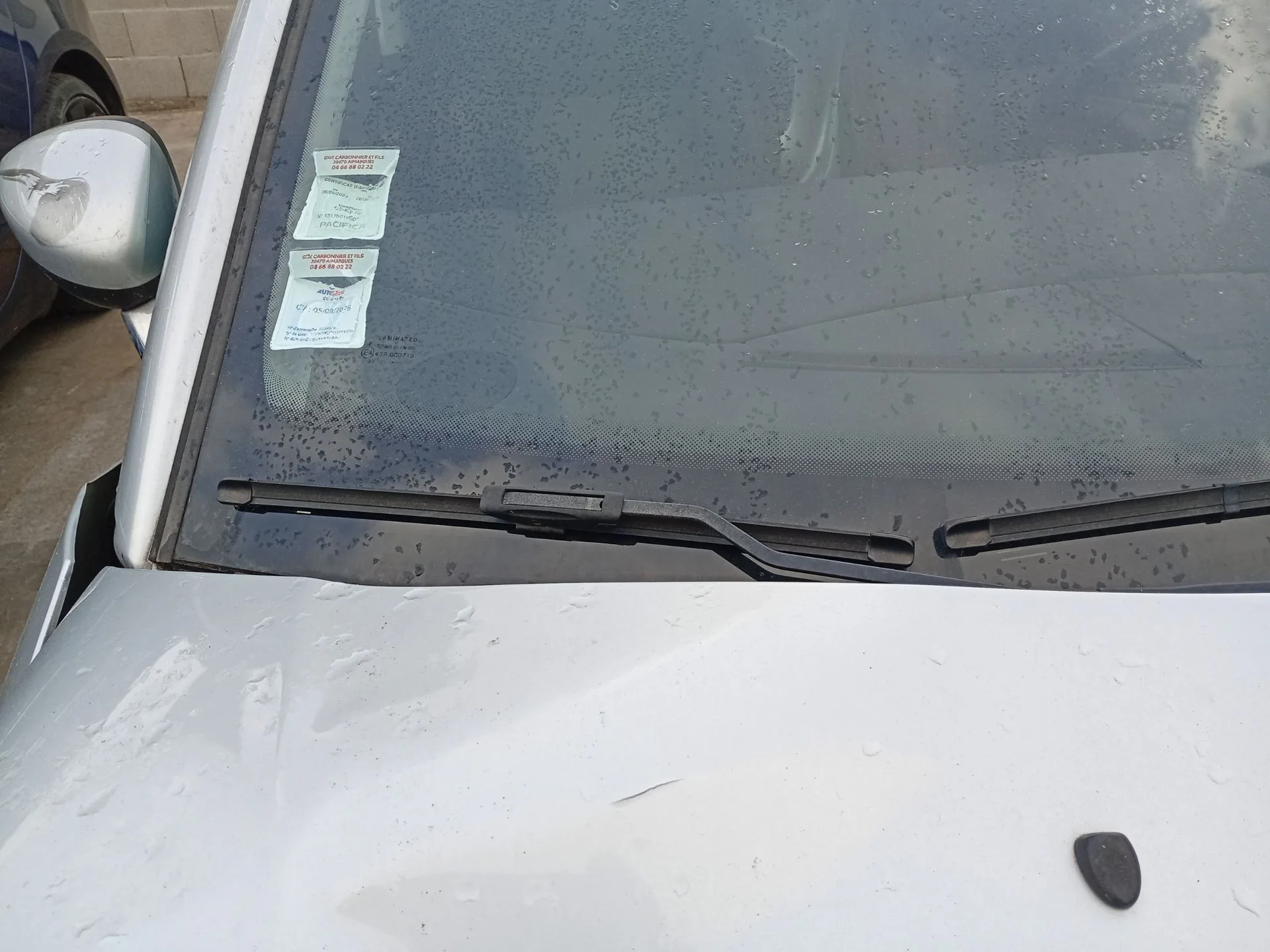 Brazo Limpia Delantero Derecho para Citroën C3 Ii (Sc_)