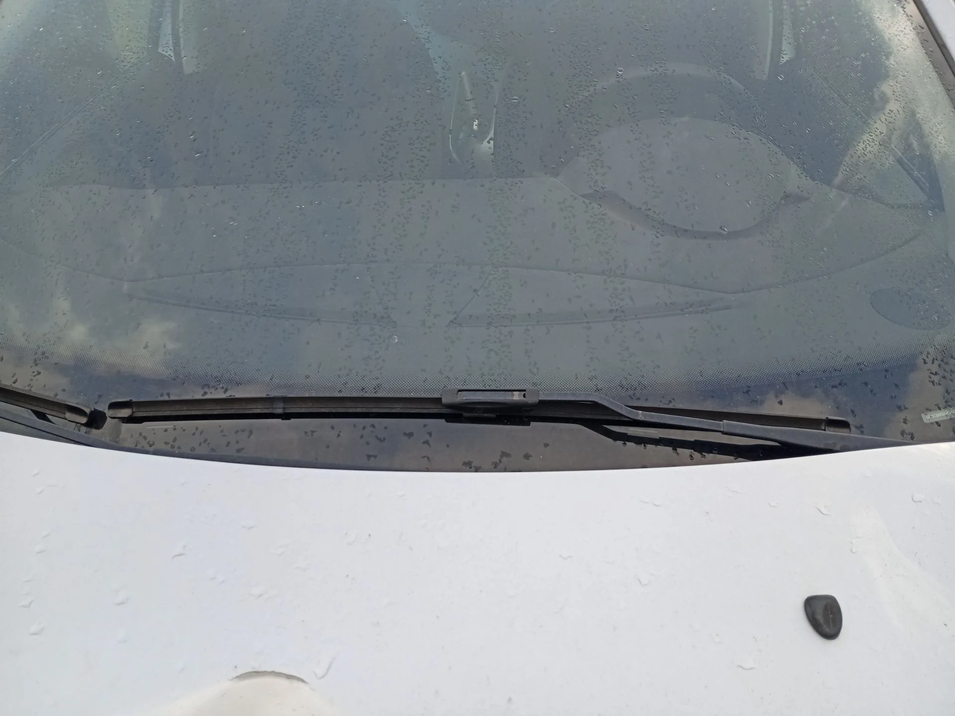 Brazo Limpia Delantero Izquierdo para Citroën C3 Ii (Sc_)
