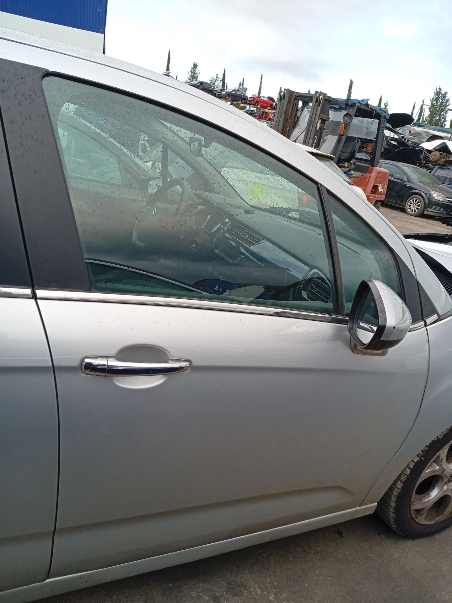 Puerta Delantera Derecha para Citroën C3 Ii (Sc_)