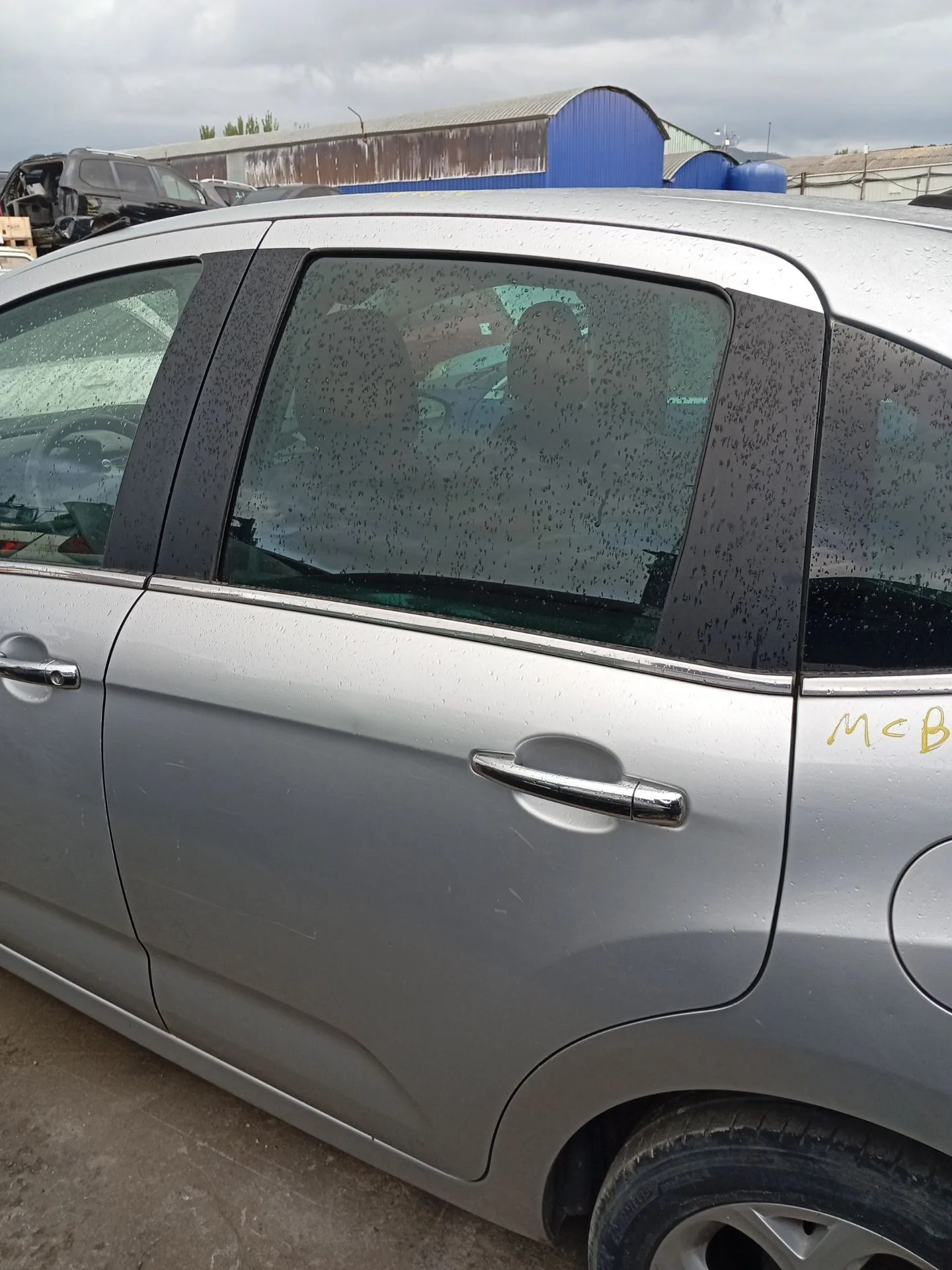 Puerta Trasera Izquierda para Citroën C3 Ii (Sc_)