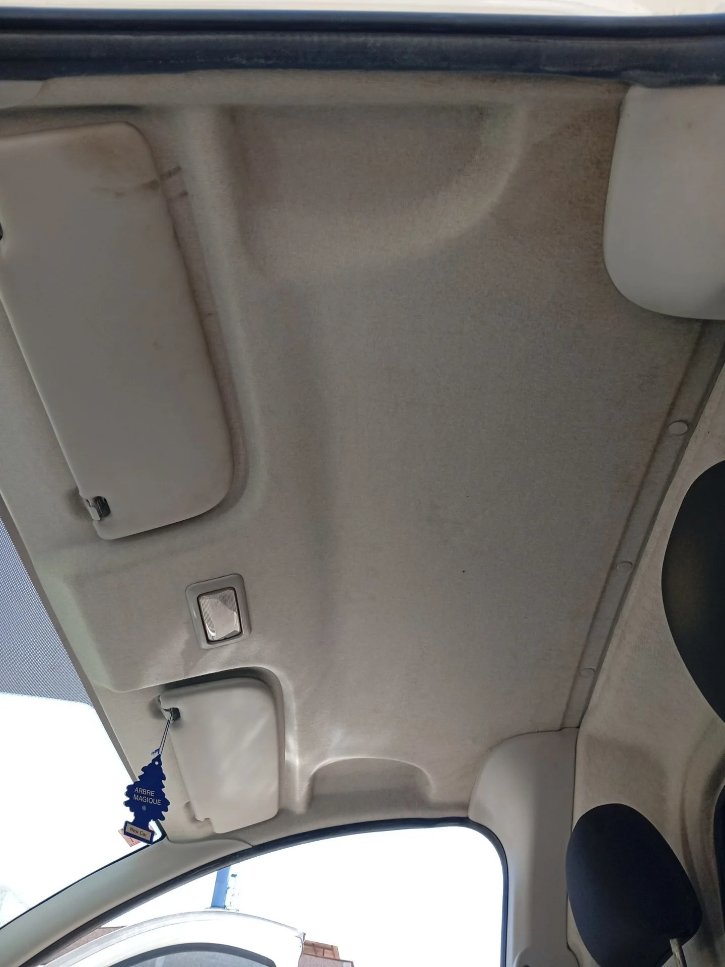 Techo Interior para Fiat Fiorino Furgoneta/Monovolumen (225_)