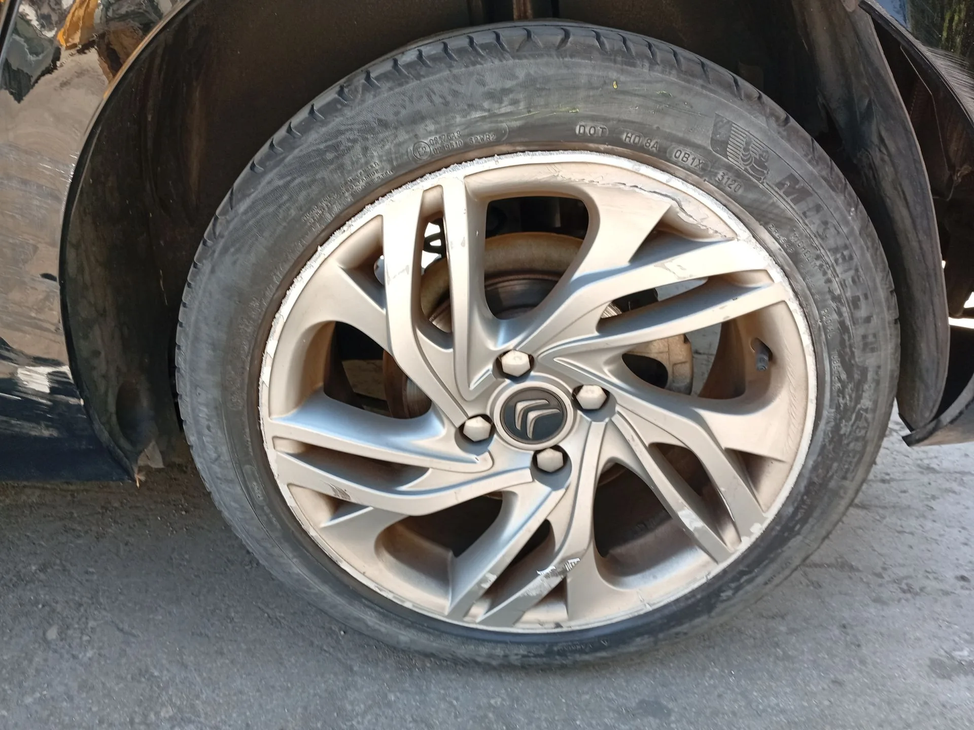 Mangueta Trasera Izquierda para Citroën C4 Ii (Nc_)