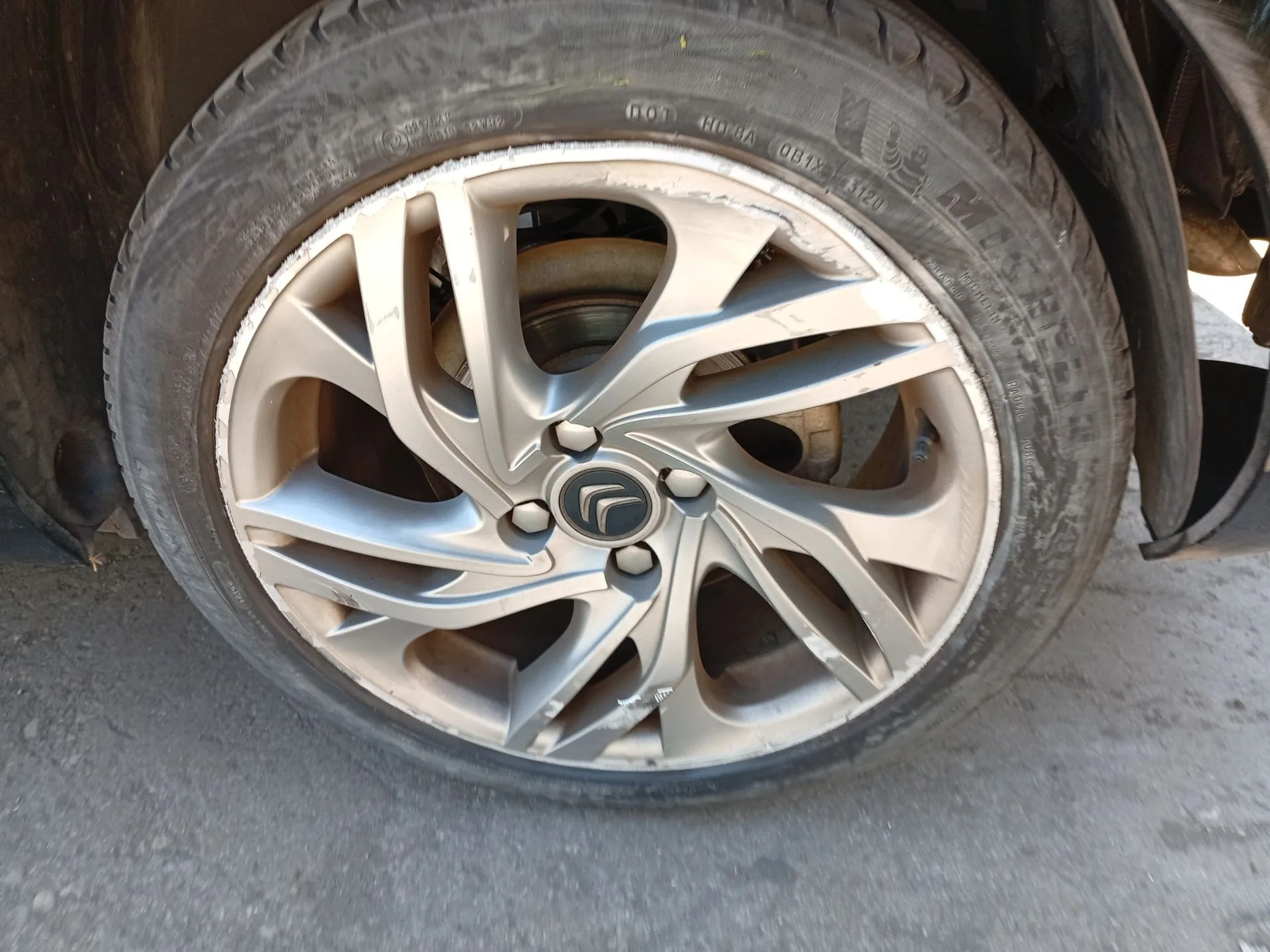 Pinza Freno Trasera Izquierda para Citroën C4 Ii (Nc_)