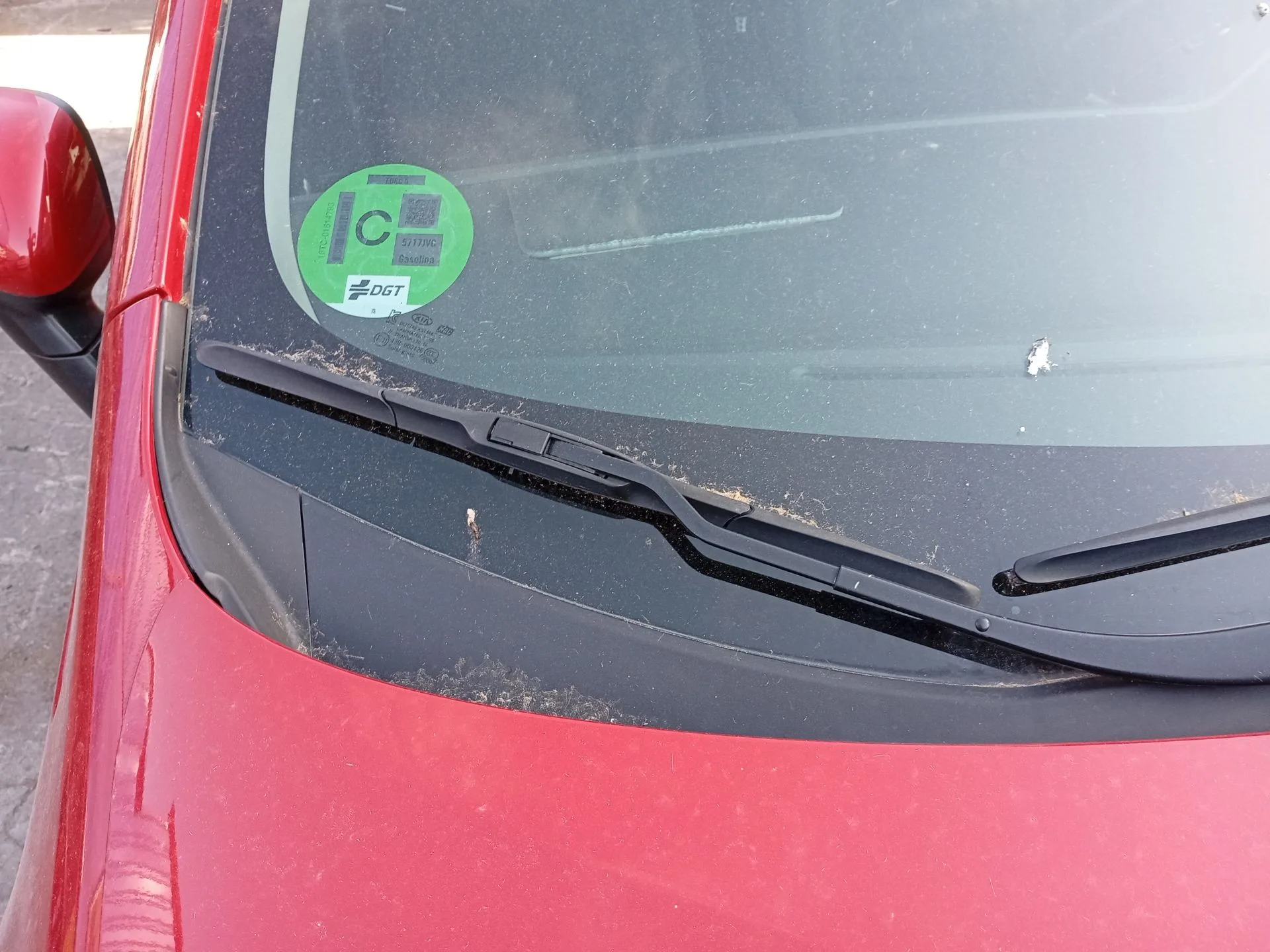 Brazo Limpia Delantero Derecho para Kia Rio Iii (Ub)