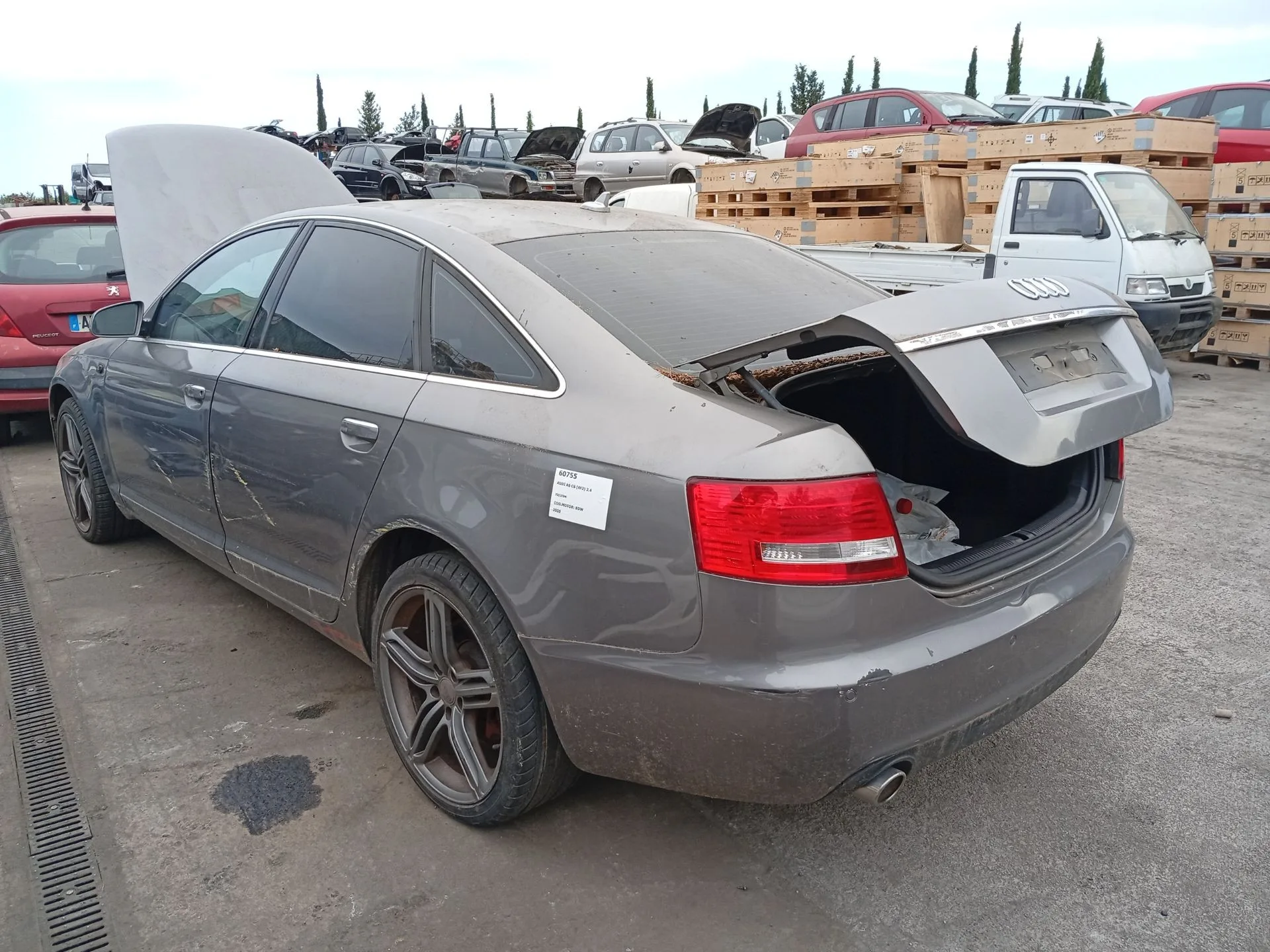 Amortiguador Trasero Izquierdo para Audi A6 C6 (4F2)