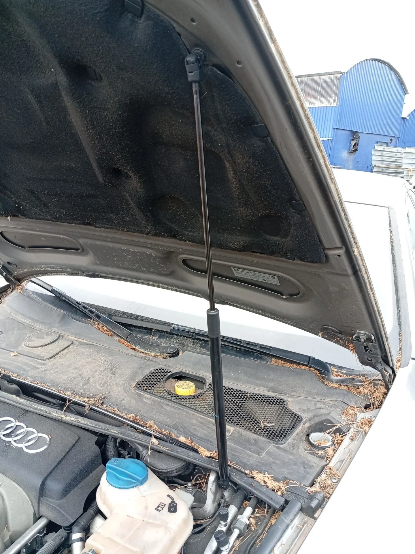 Amortiguadores Capo para Audi A6 C6 (4F2)