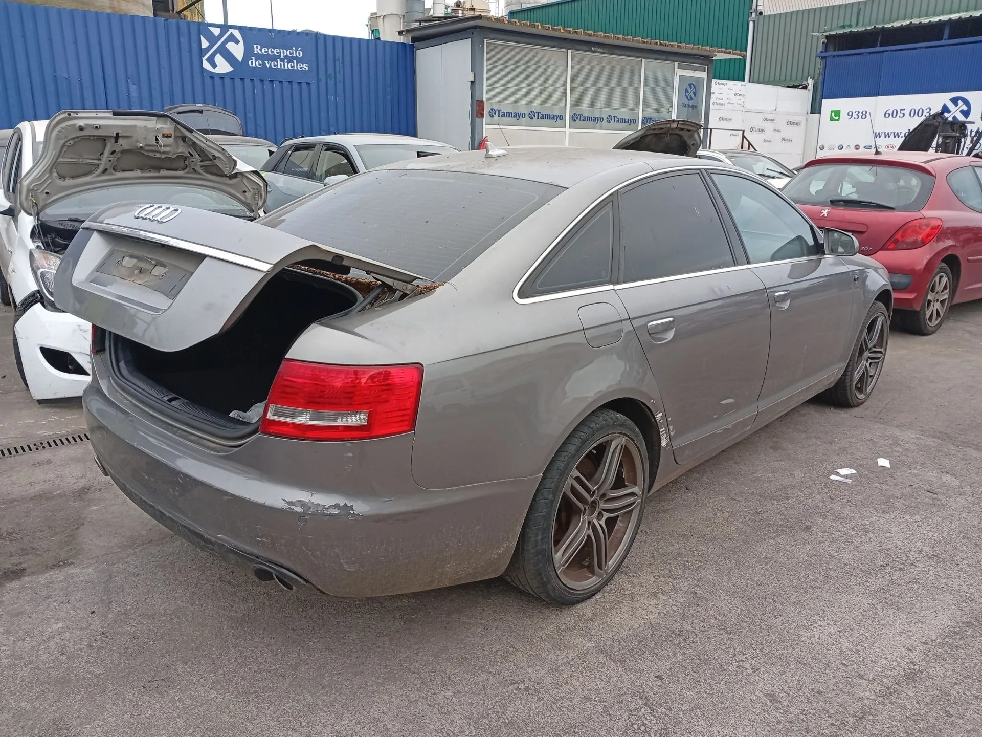 Barra Estabilizadora Trasera para Audi A6 C6 (4F2)