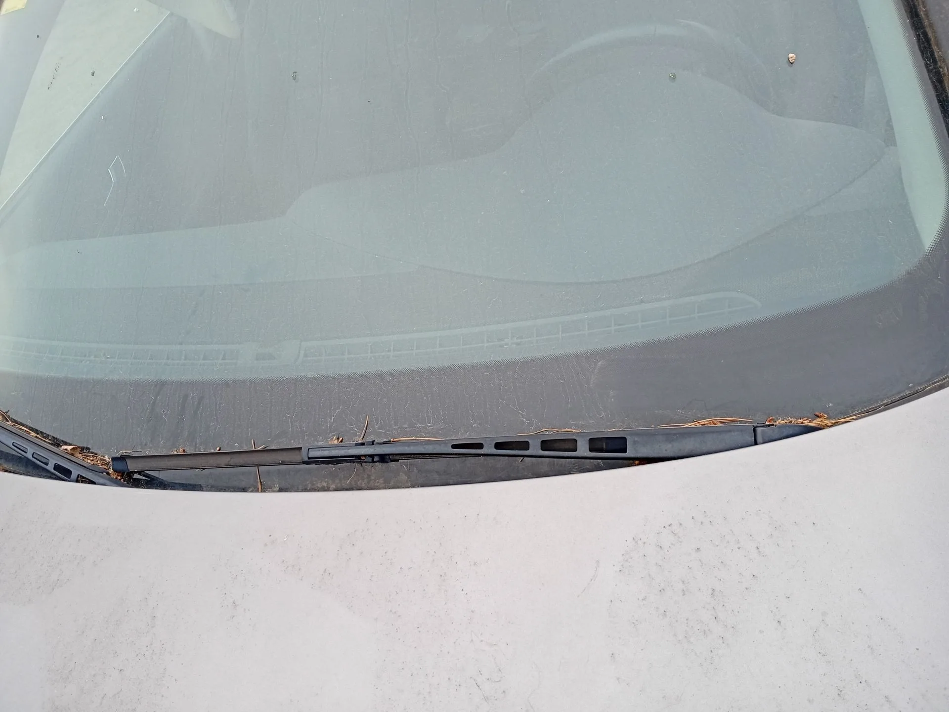 Brazo Limpia Delantero Izquierdo para Audi A6 C6 (4F2)