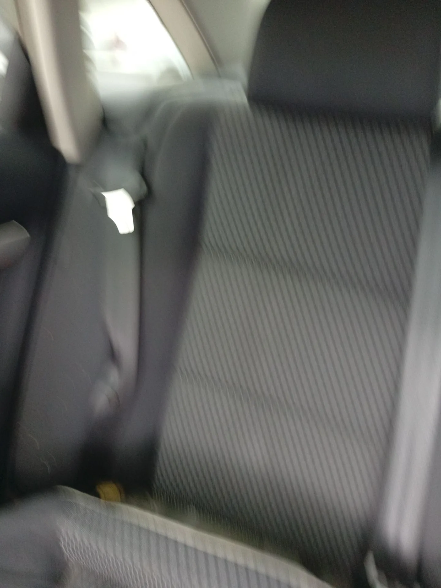 Cinturon Seguridad Trasero Derecho para Audi A6 C6 (4F2)