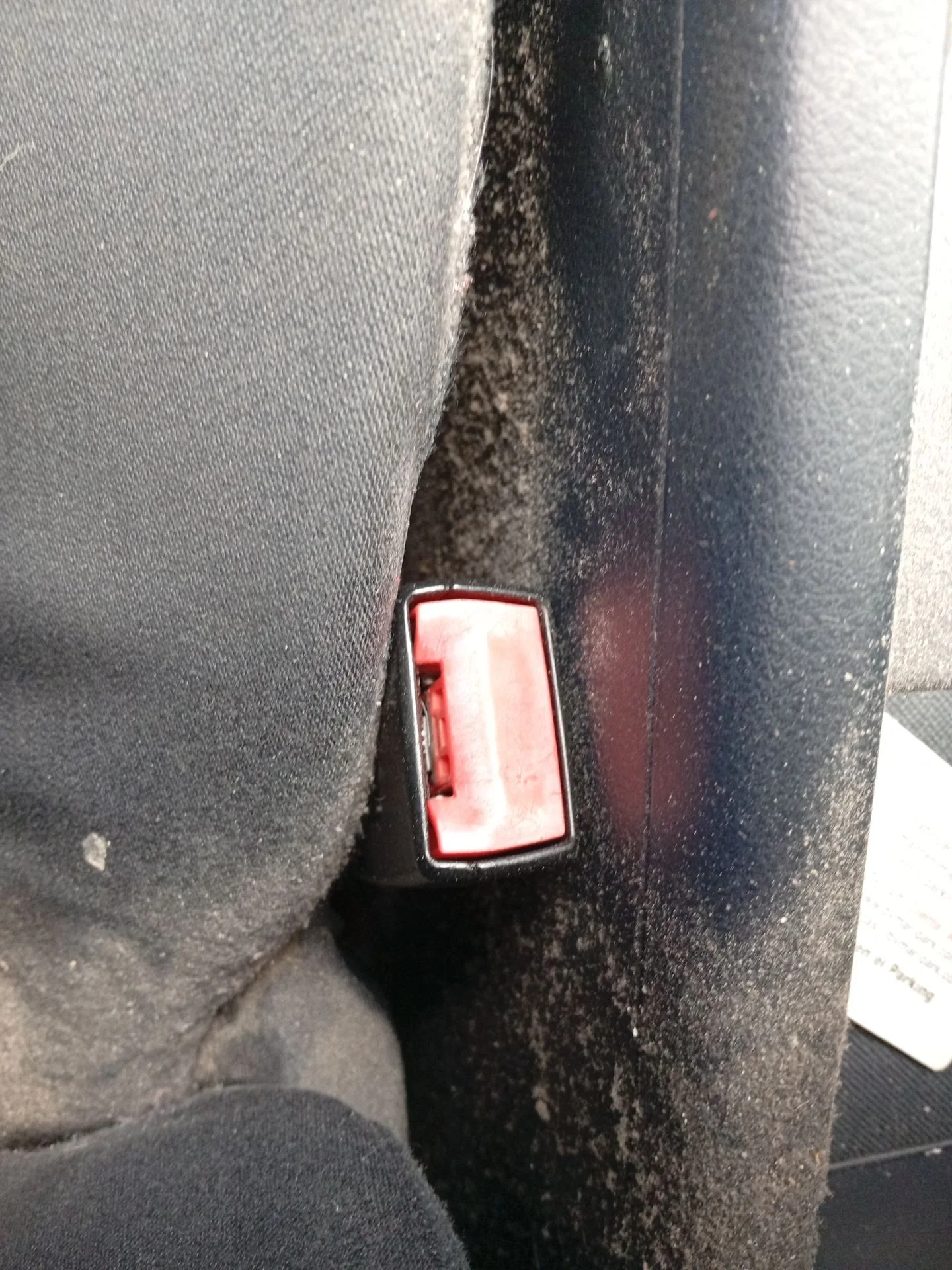 Enganche Cinturon Delantero Izquierdo para Audi A6 C6 (4F2)