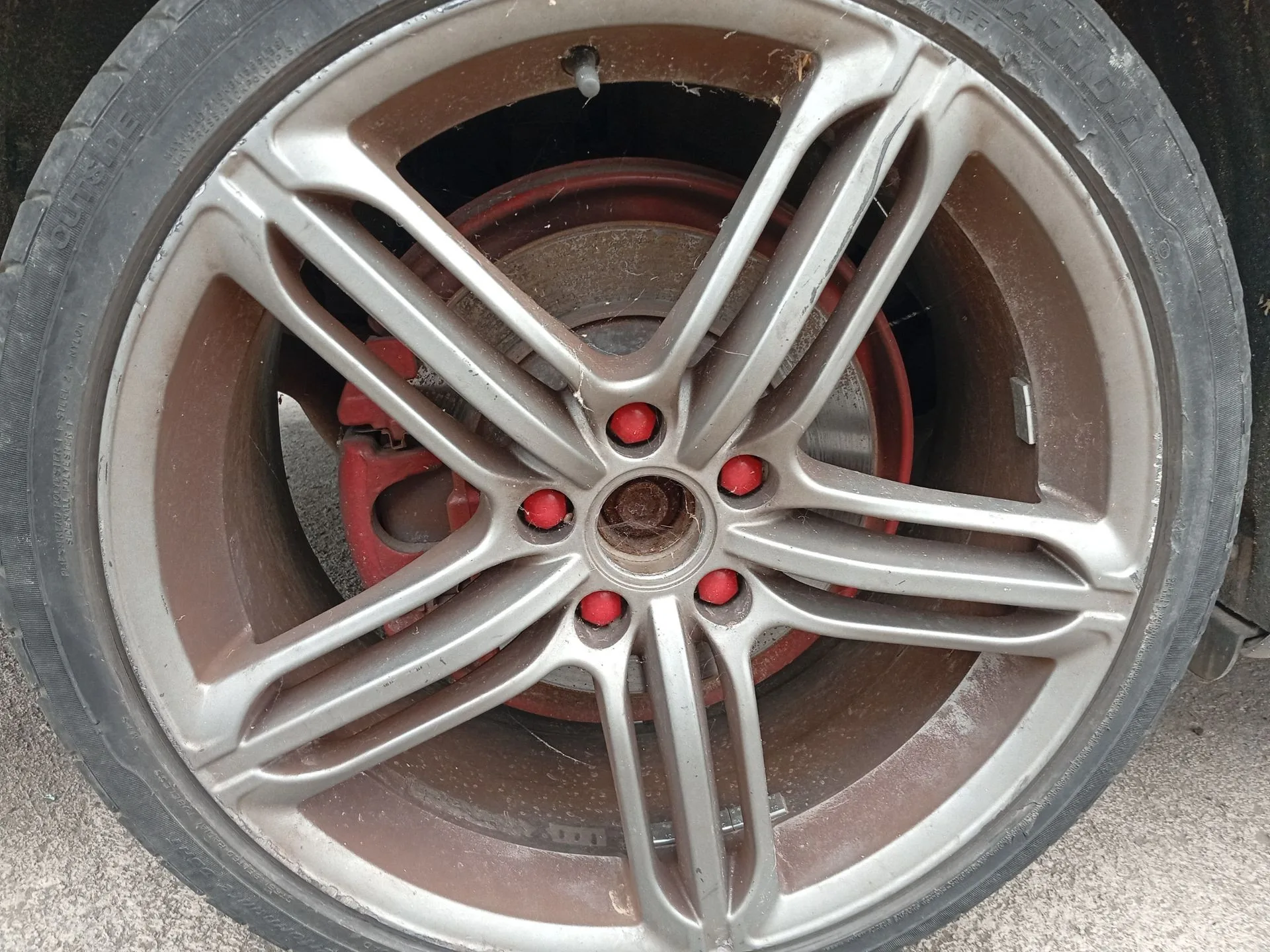 Pinza Freno Trasera Derecha para Audi A6 C6 (4F2)