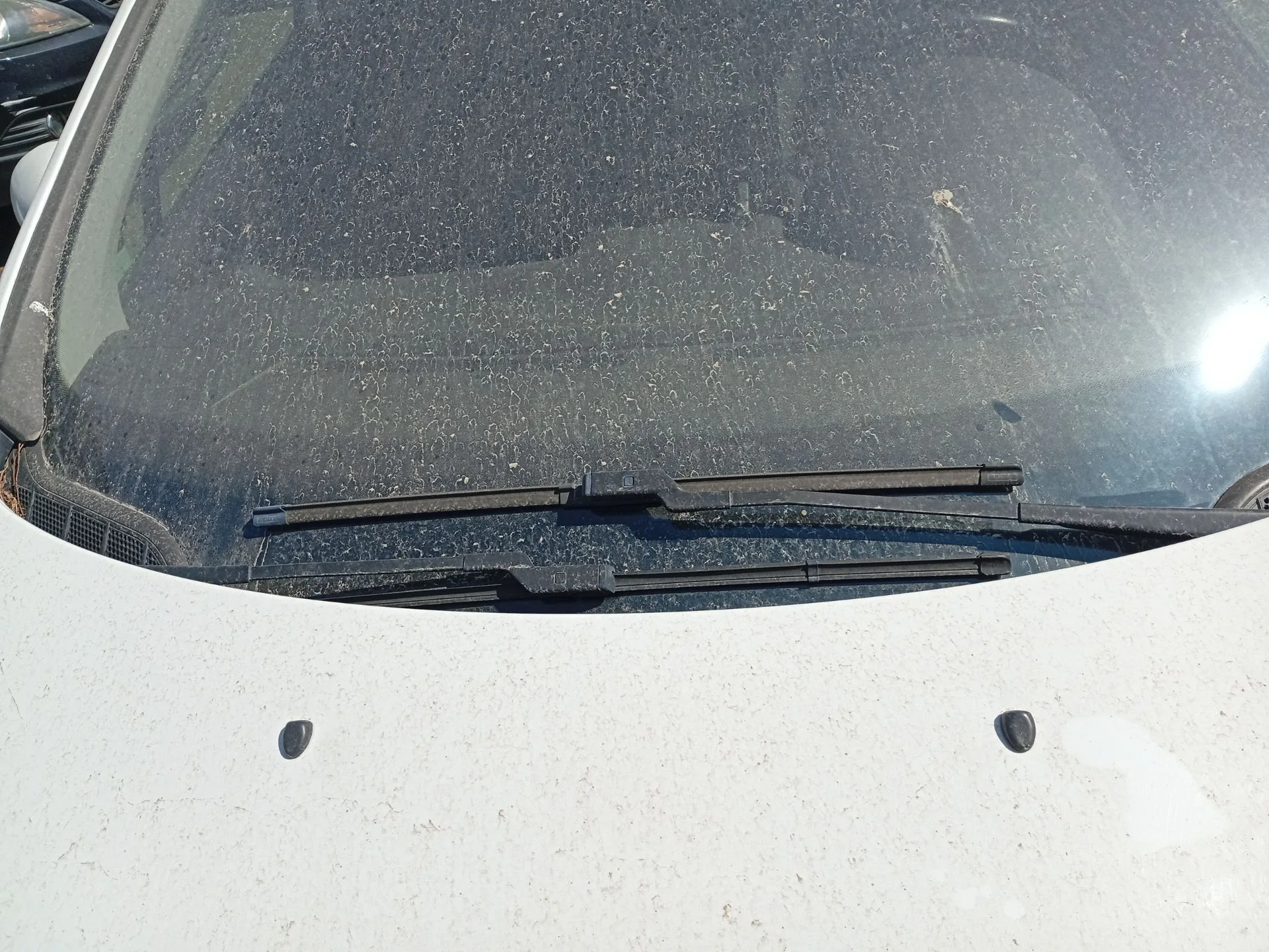 Brazo Limpia Delantero Derecho para Peugeot 308 Sw I (4E_, 4H_)