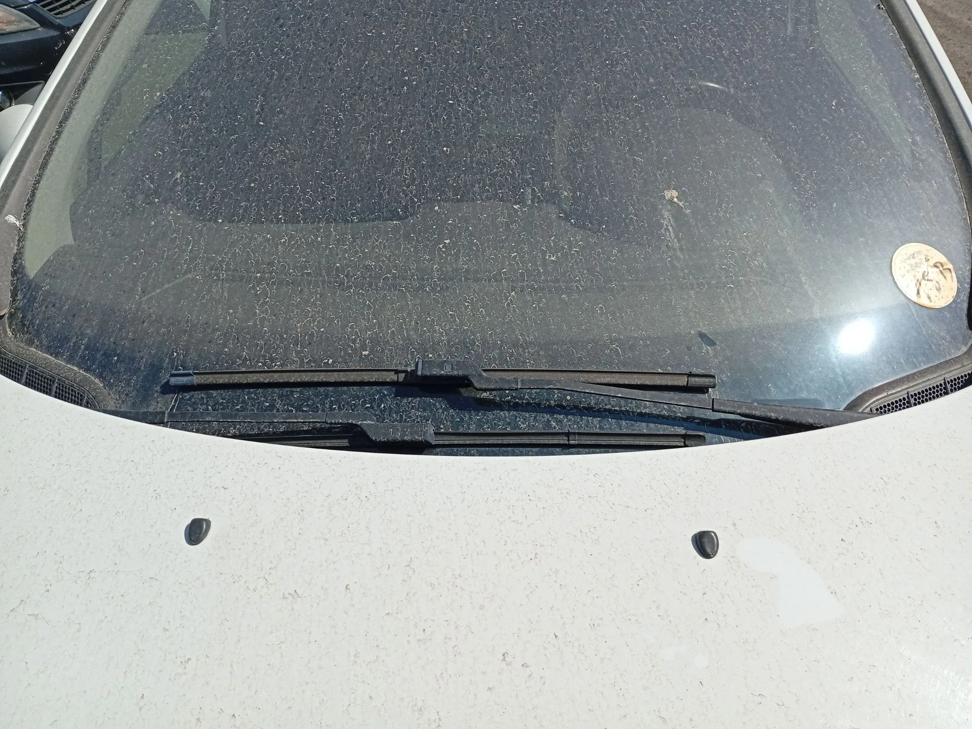 Brazo Limpia Delantero Izquierdo para Peugeot 308 Sw I (4E_, 4H_)