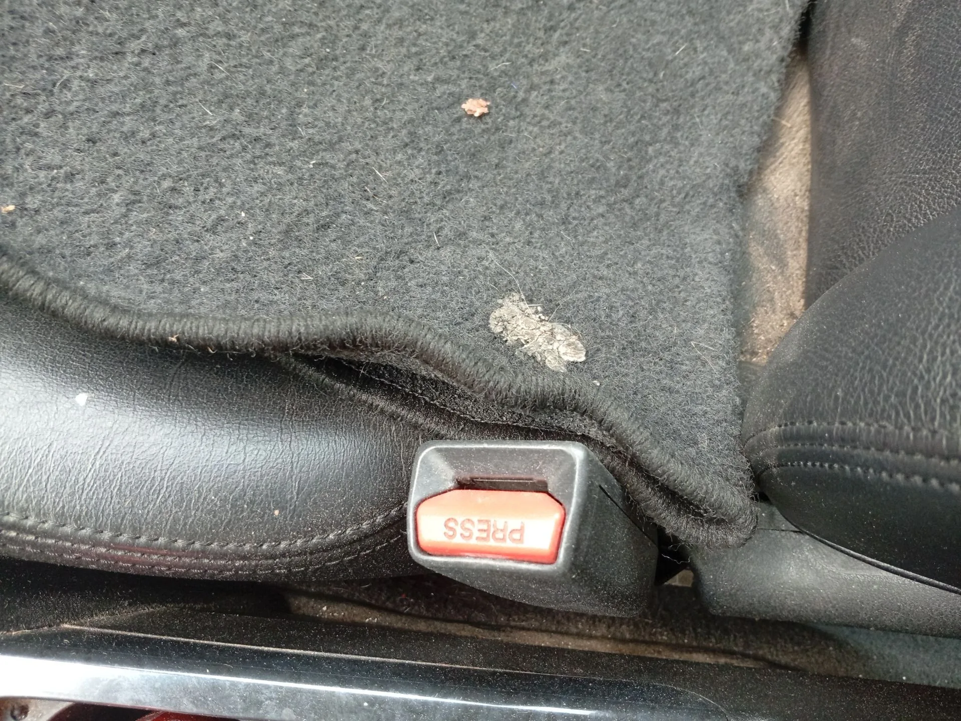Enganche Cinturon Delantero Derecho para Honda Accord Vii (Cl, Cn)