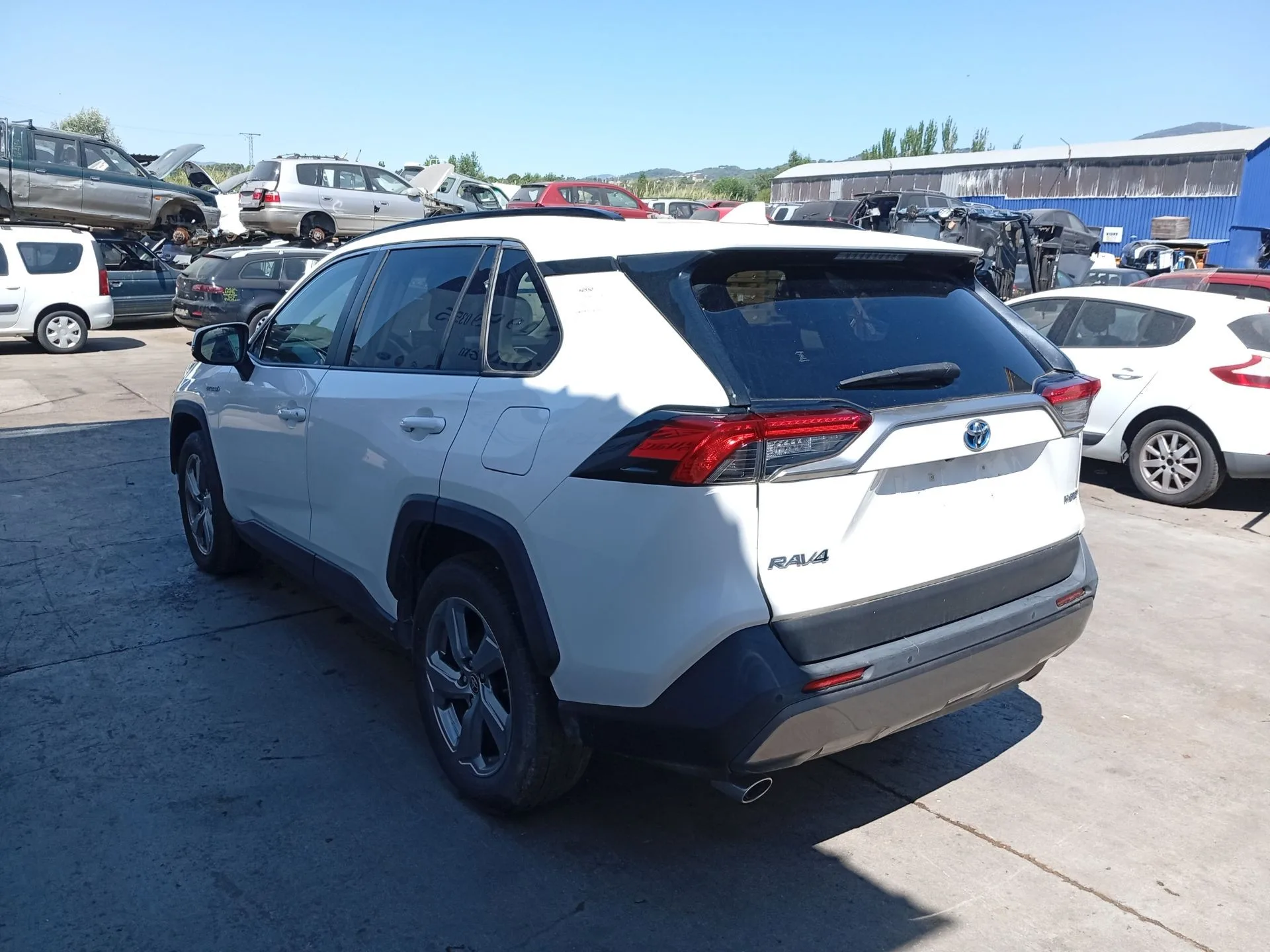 Barra Estabilizadora Trasera para Toyota Rav 4 V (_A5_, _H5_)