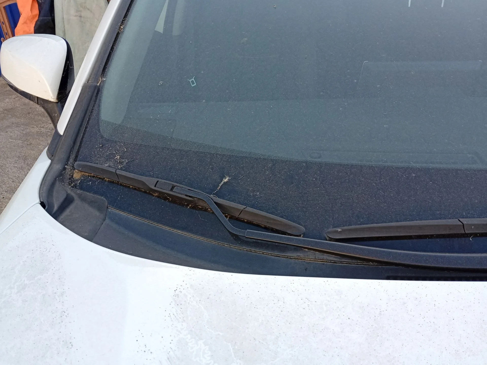 Brazo Limpia Delantero Derecho para Toyota Rav 4 V (_A5_, _H5_)
