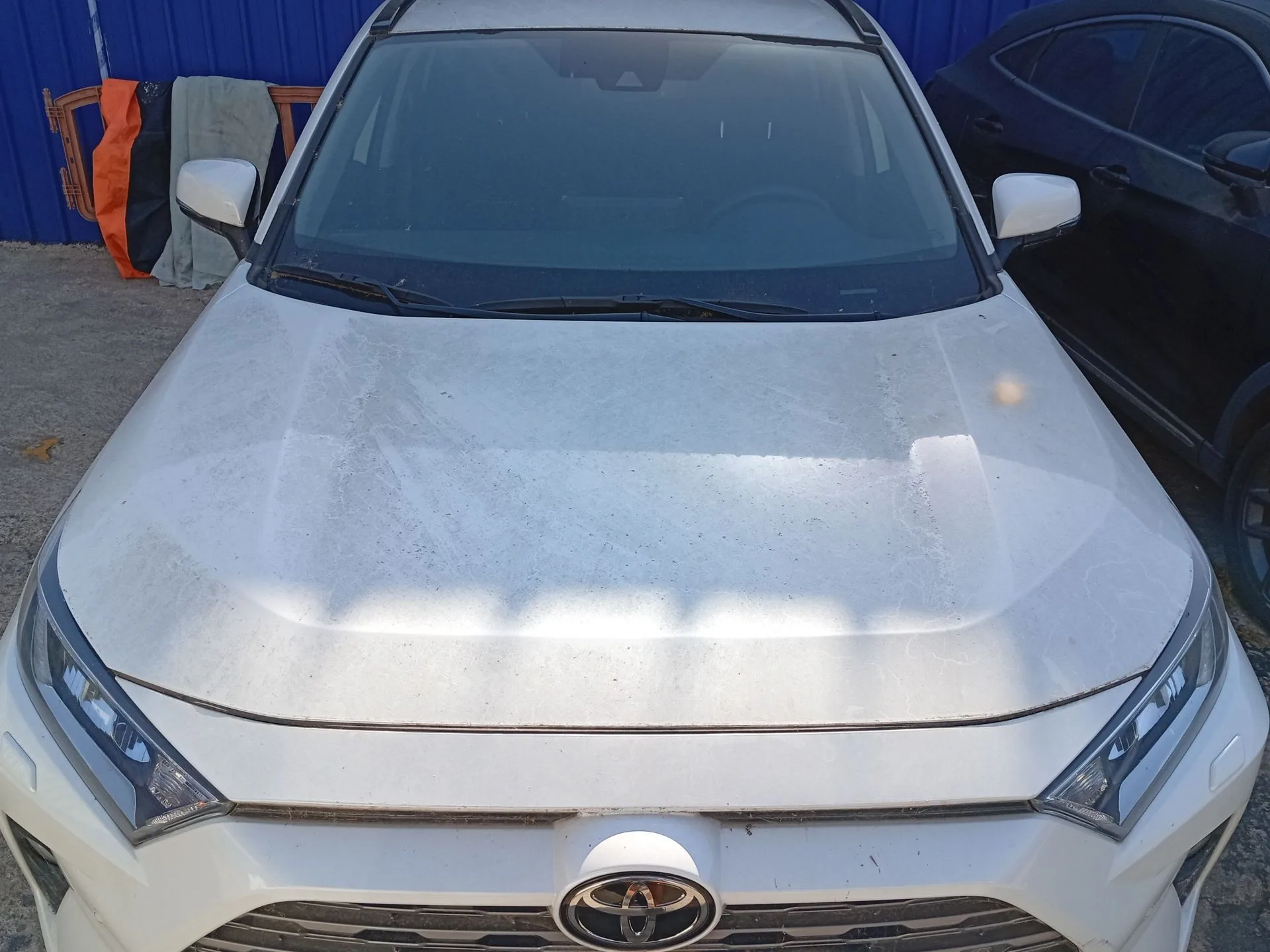 Capot Delantero para Toyota Rav 4 V (_A5_, _H5_)