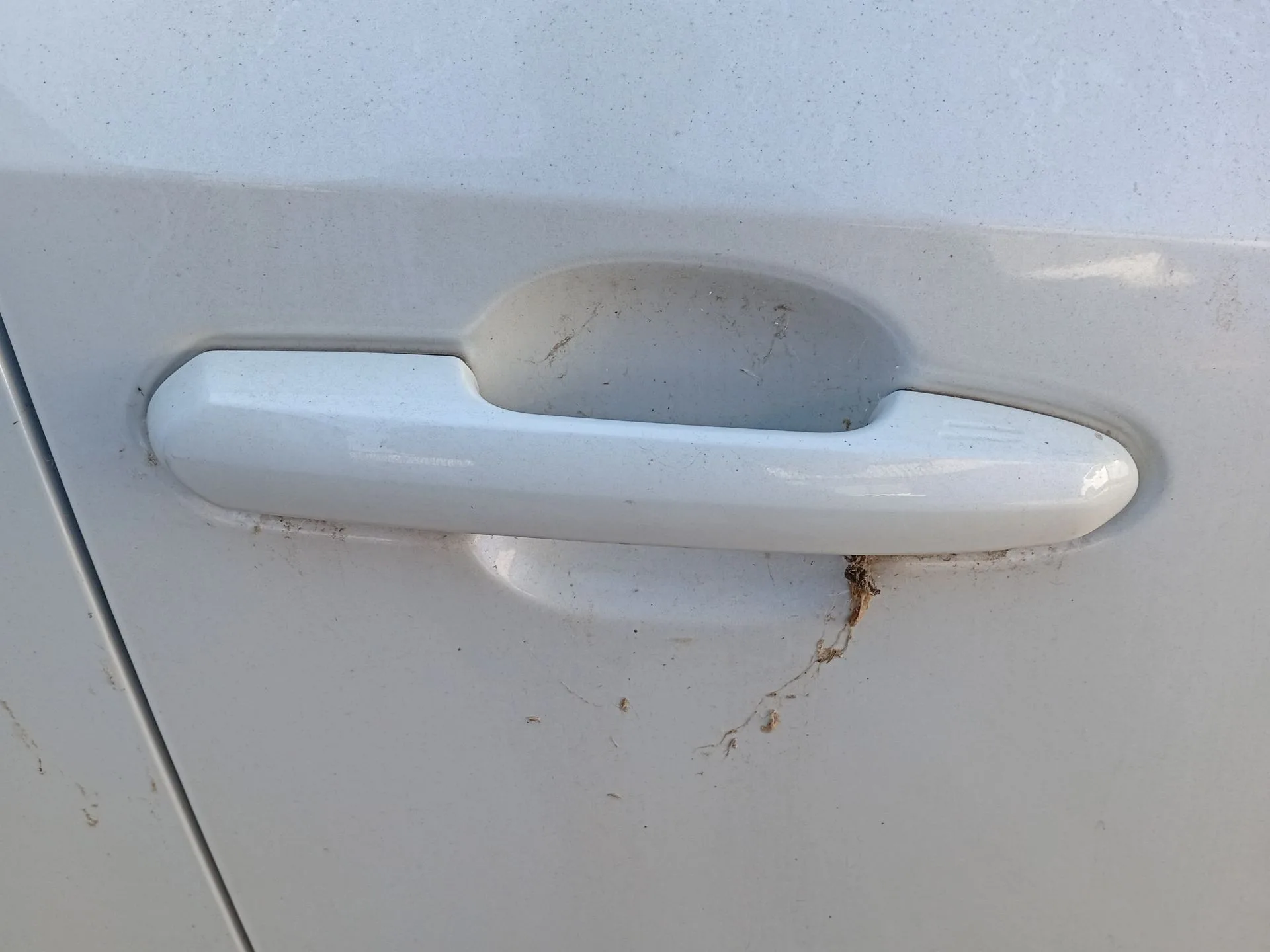 Maneta Exterior Delantera Derecha para Toyota Rav 4 V (_A5_, _H5_)