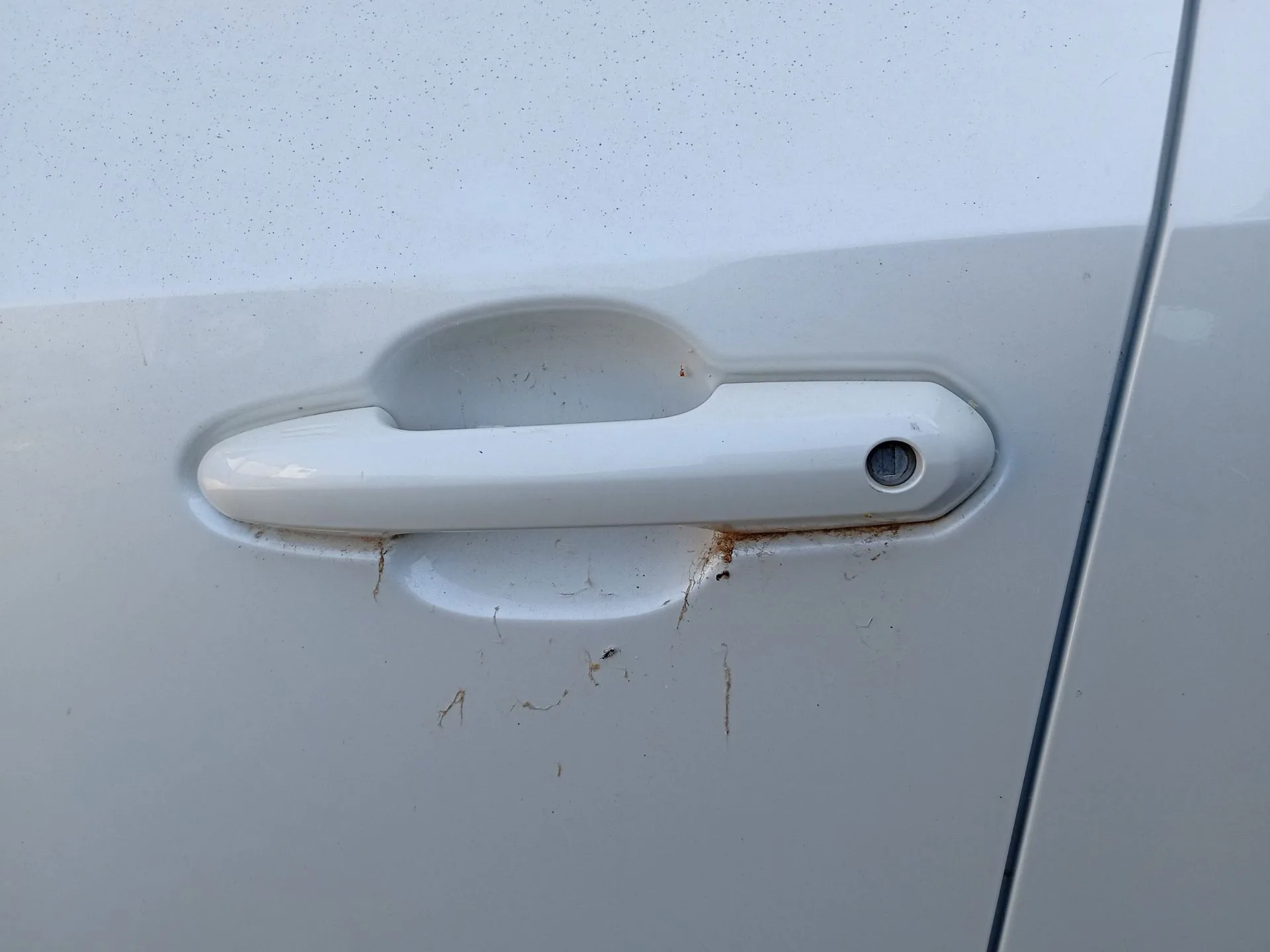 Maneta Exterior Delantera Izquierda para Toyota Rav 4 V (_A5_, _H5_)