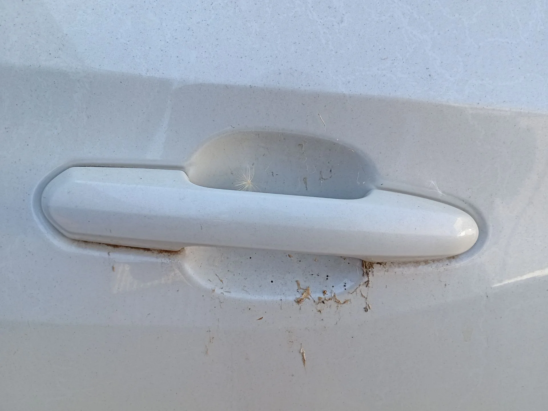 Maneta Exterior Trasera Derecha para Toyota Rav 4 V (_A5_, _H5_)