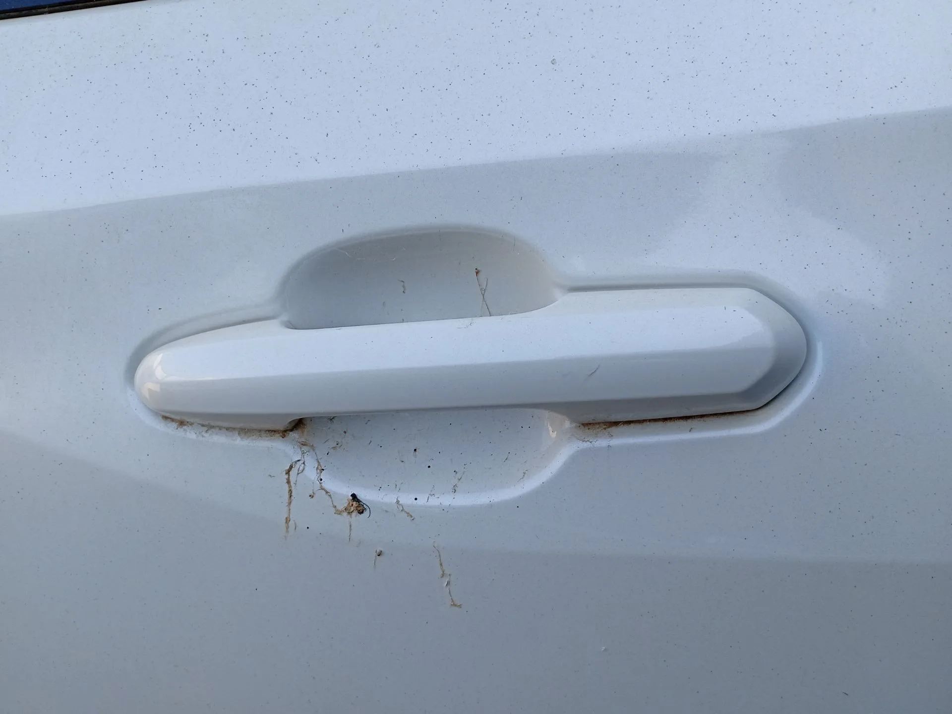Maneta Exterior Trasera Izquierda para Toyota Rav 4 V (_A5_, _H5_)