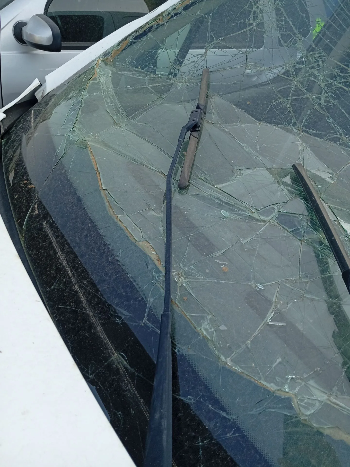 Brazo Limpia Delantero Derecho para Peugeot Partner Furgoneta/Monovolumen
