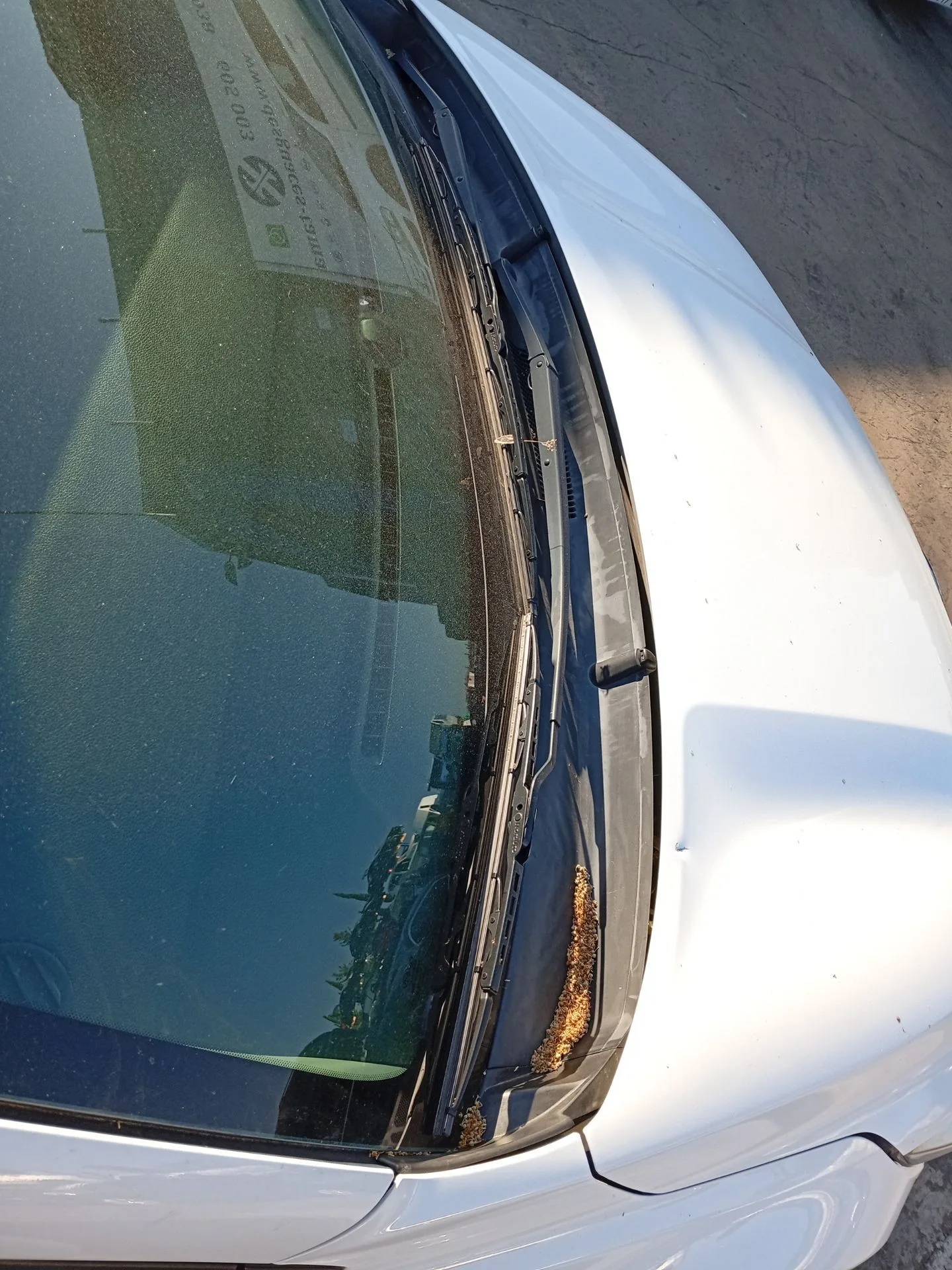 Torpedo para Kia Stonic (Yb)
