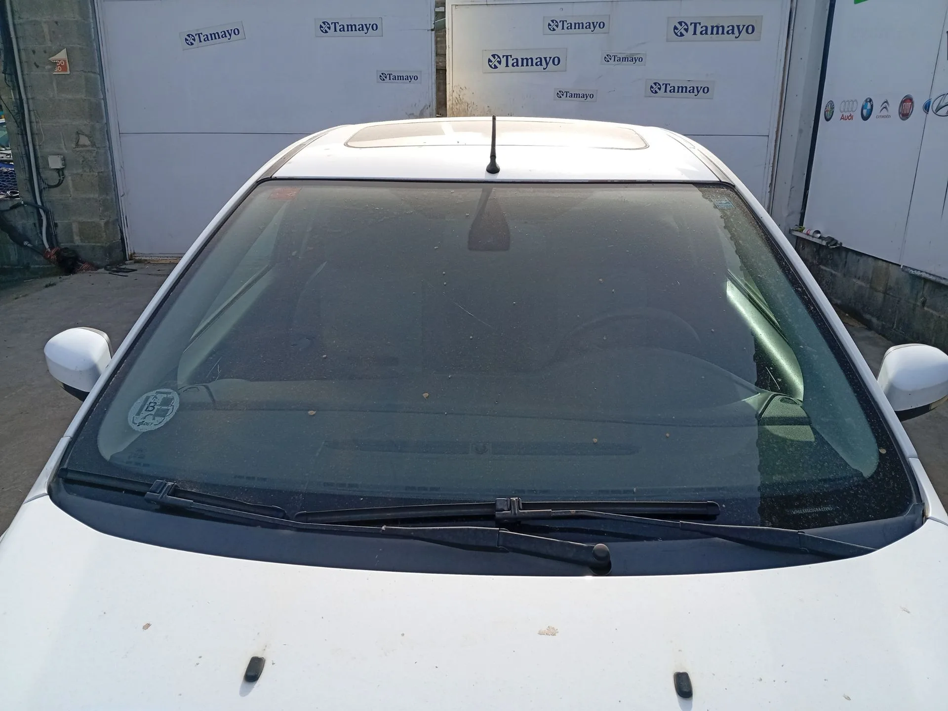 Parabrisas para Ford Focus Ii (Da_, Hcp, Dp)