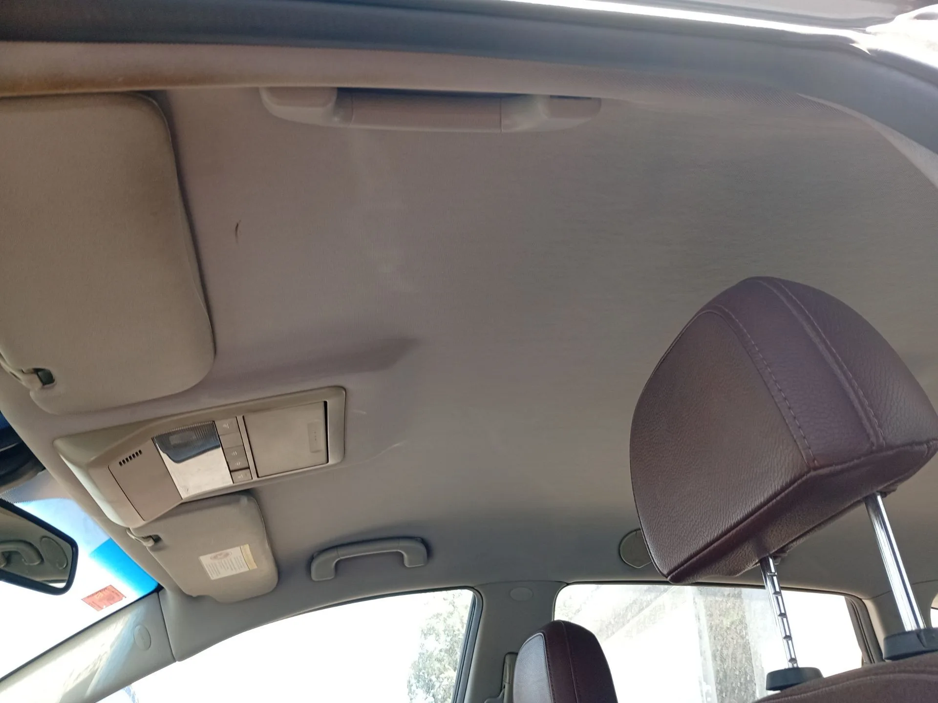Techo Interior para Opel Antara A (L07)