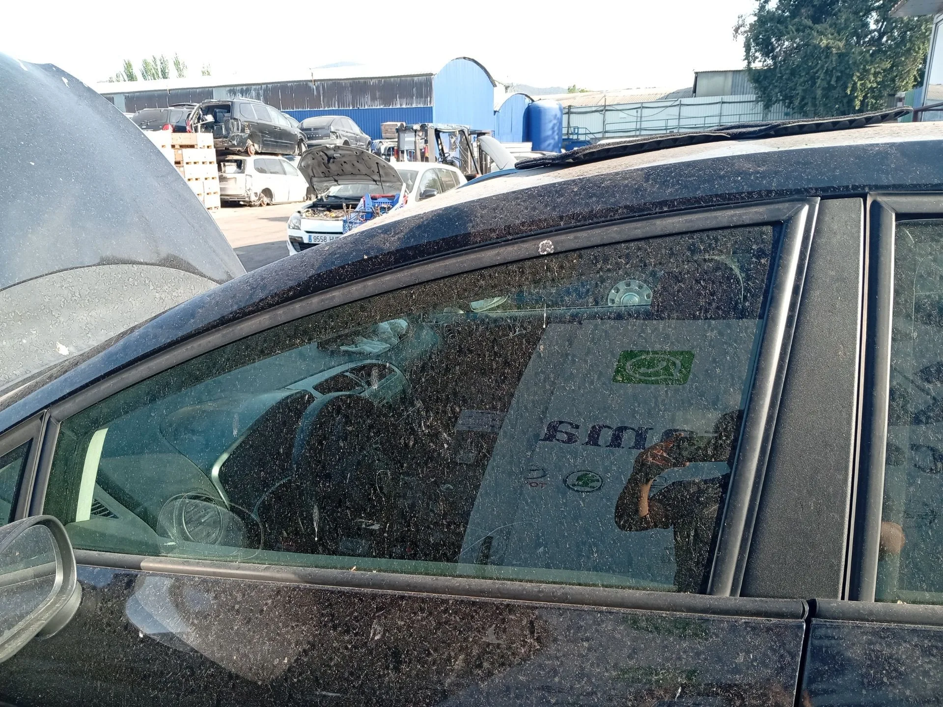 Luna Delantera Izquierda para Seat Leon (1P1)