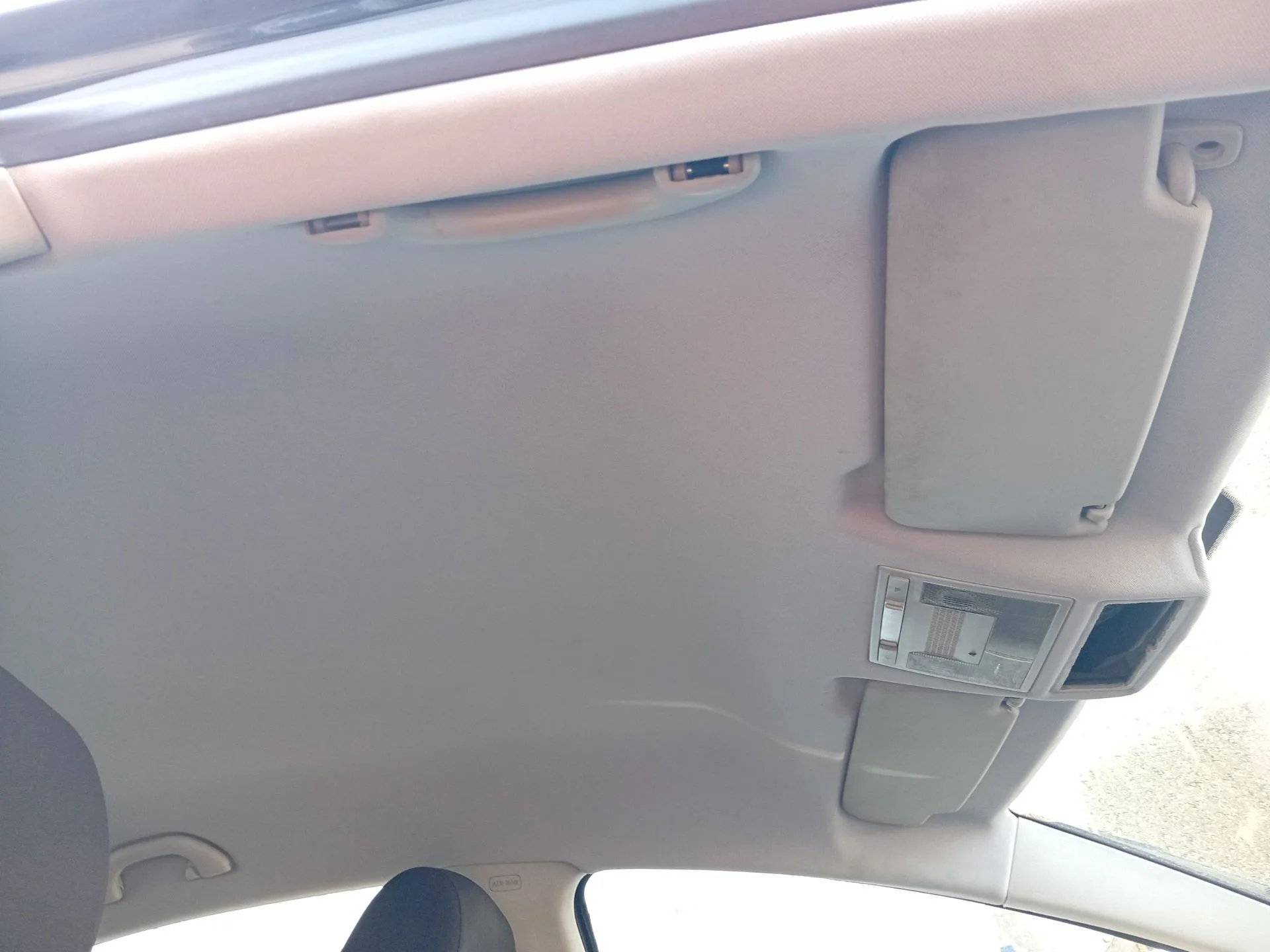 Techo Interior para Seat Leon (1P1)