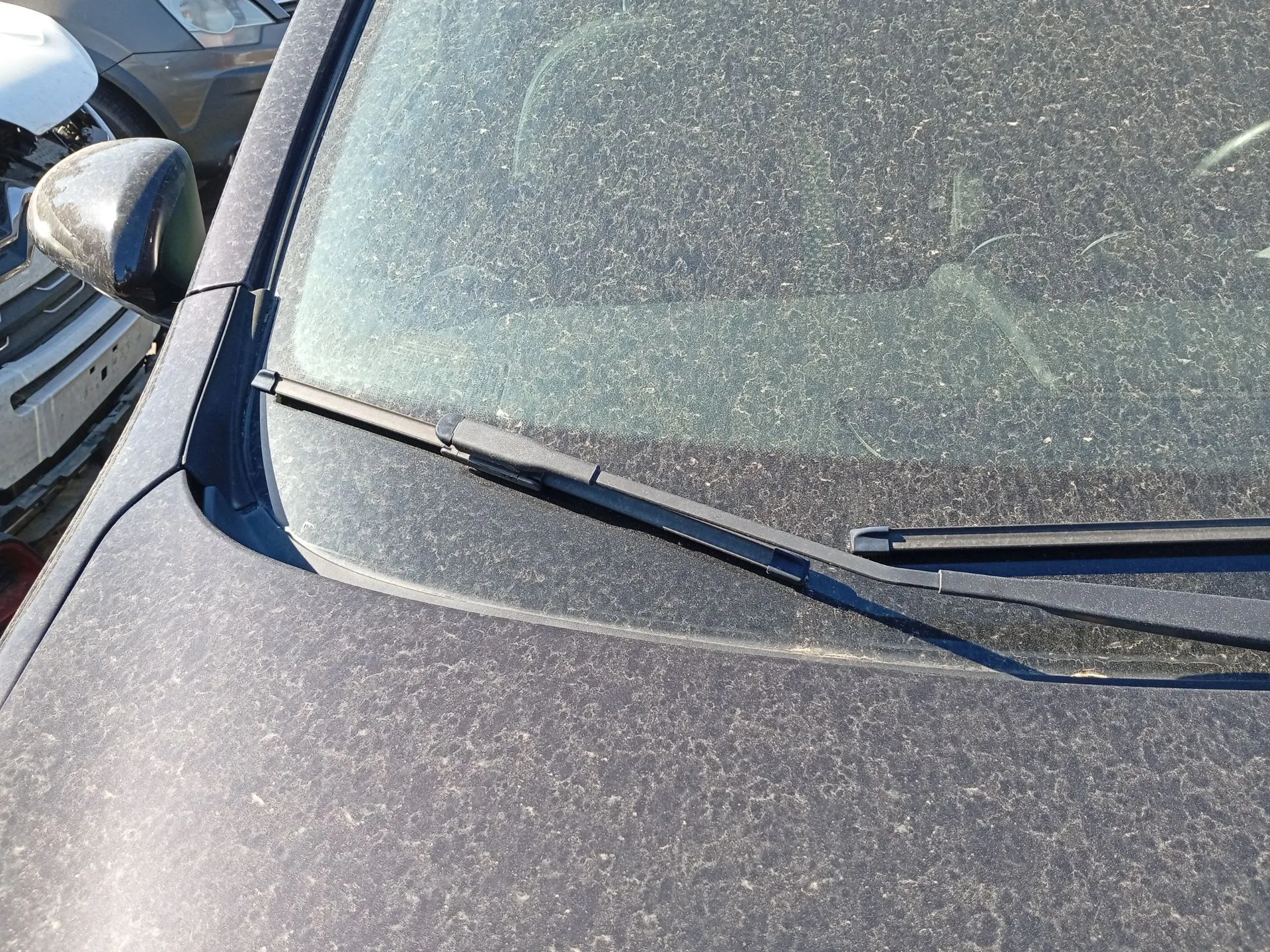 Brazo Limpia Delantero Derecho para Nissan Qashqai I (J10, Nj10)