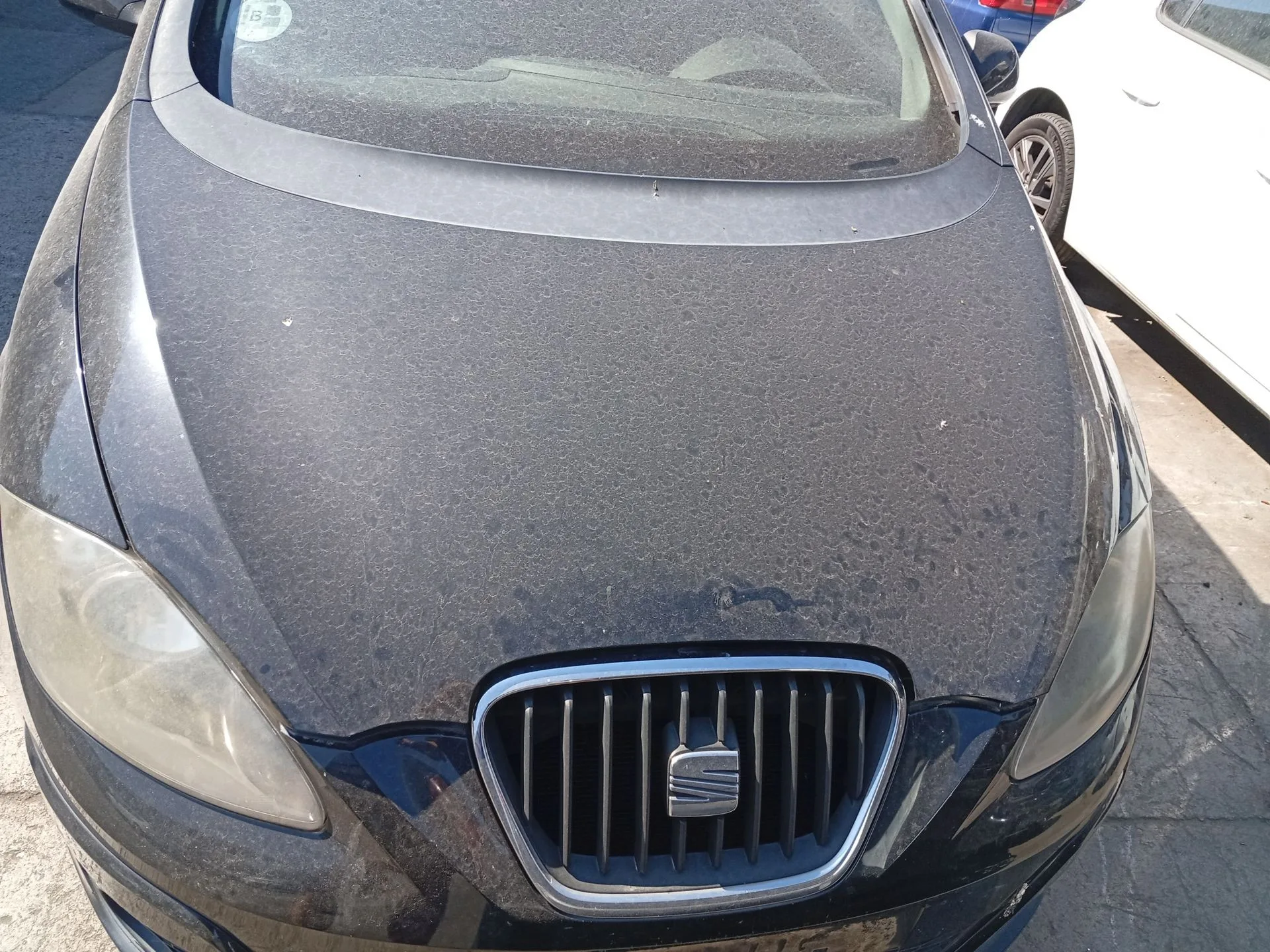 Capot Delantero para Seat Altea Xl (5P5, 5P8)