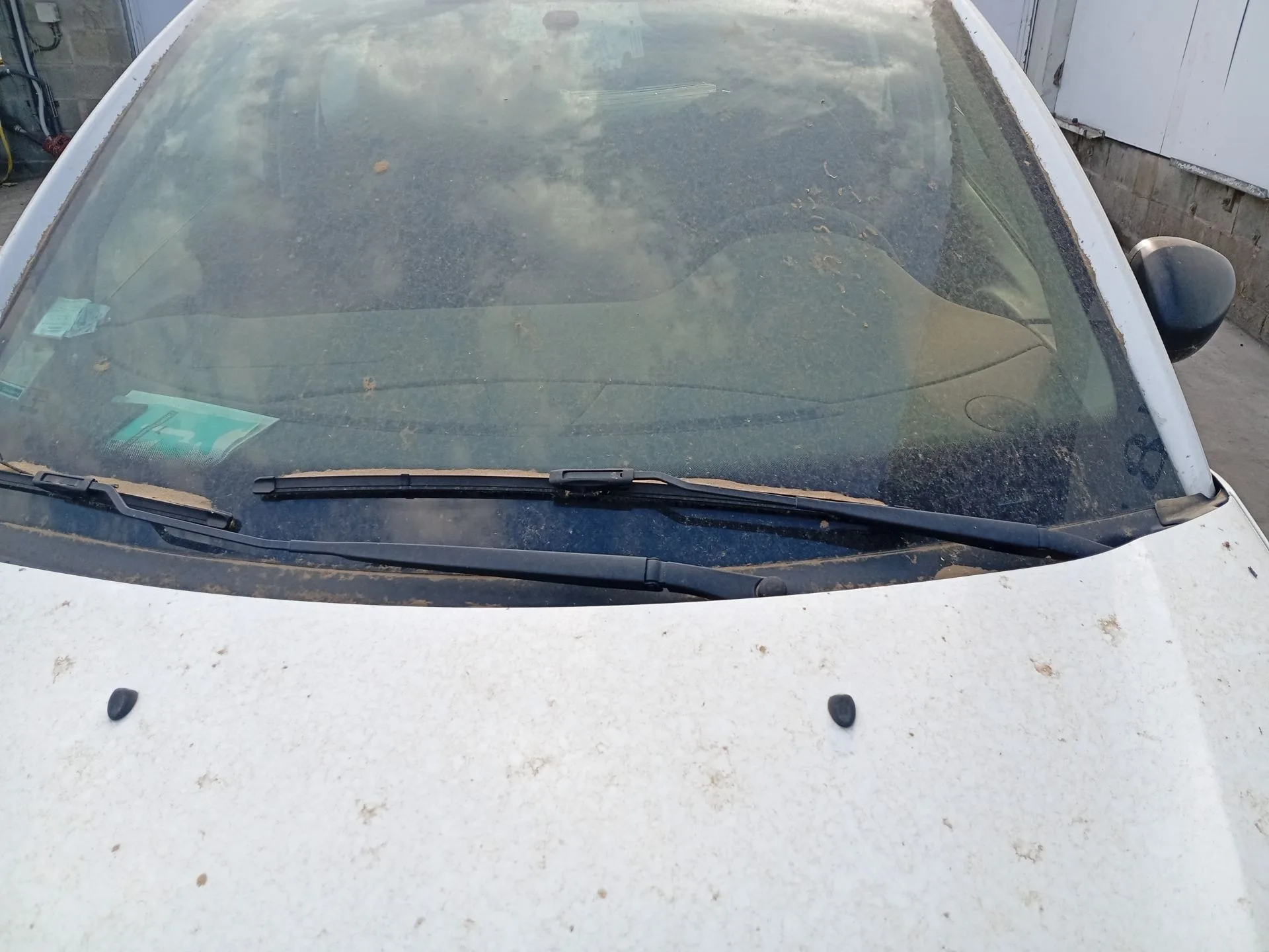 Brazo Limpia Delantero Izquierdo para Citroën C3 Ii (Sc_)
