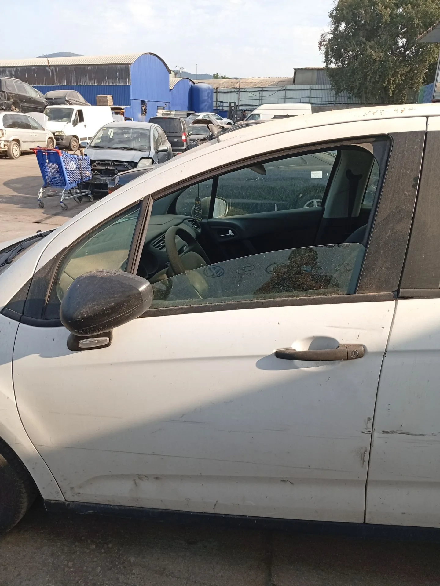 Puerta Delantera Izquierda para Citroën C3 Ii (Sc_)