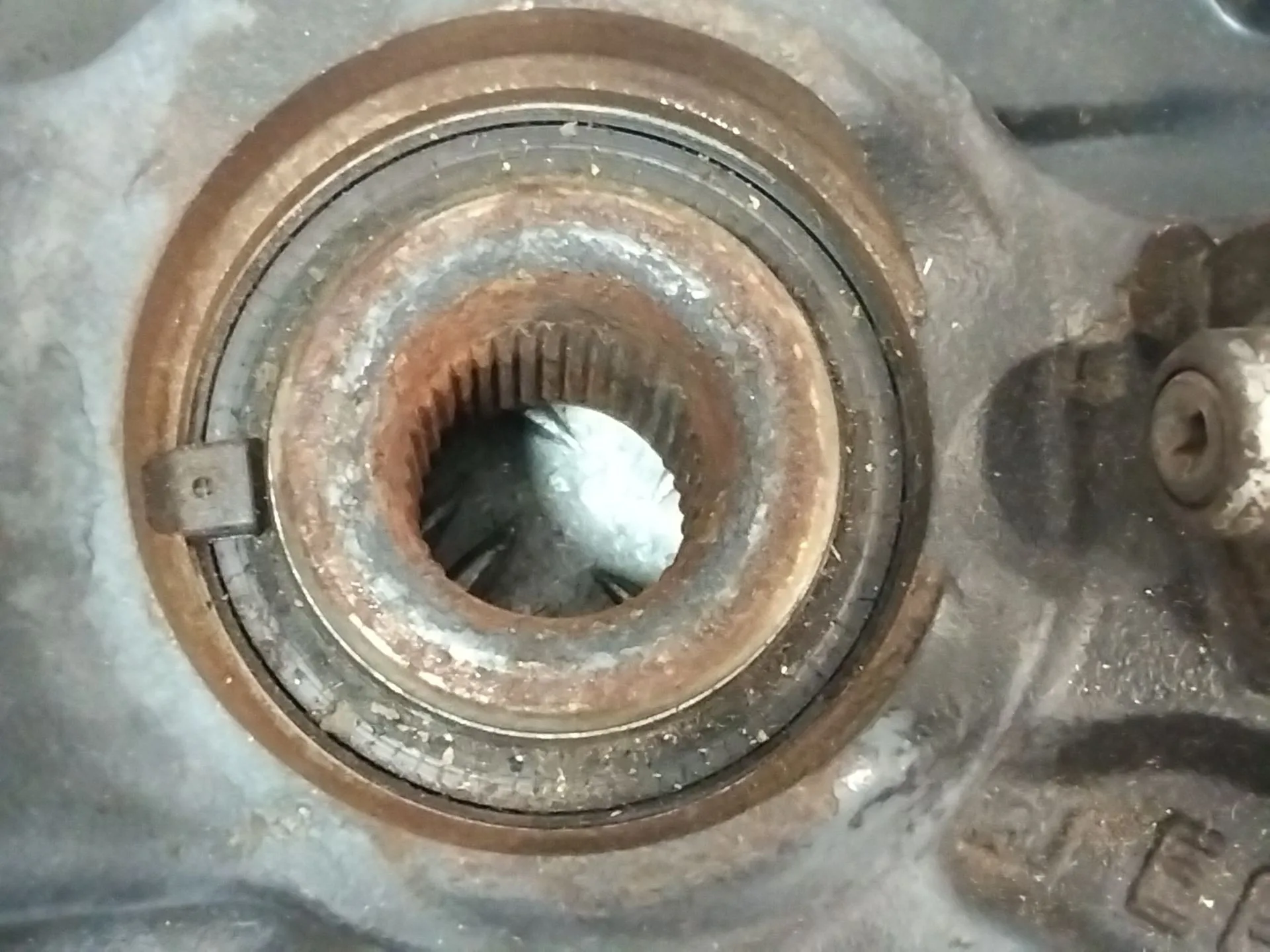 Mangueta Delantera Derecha para Seat Ibiza Iii (6L1)