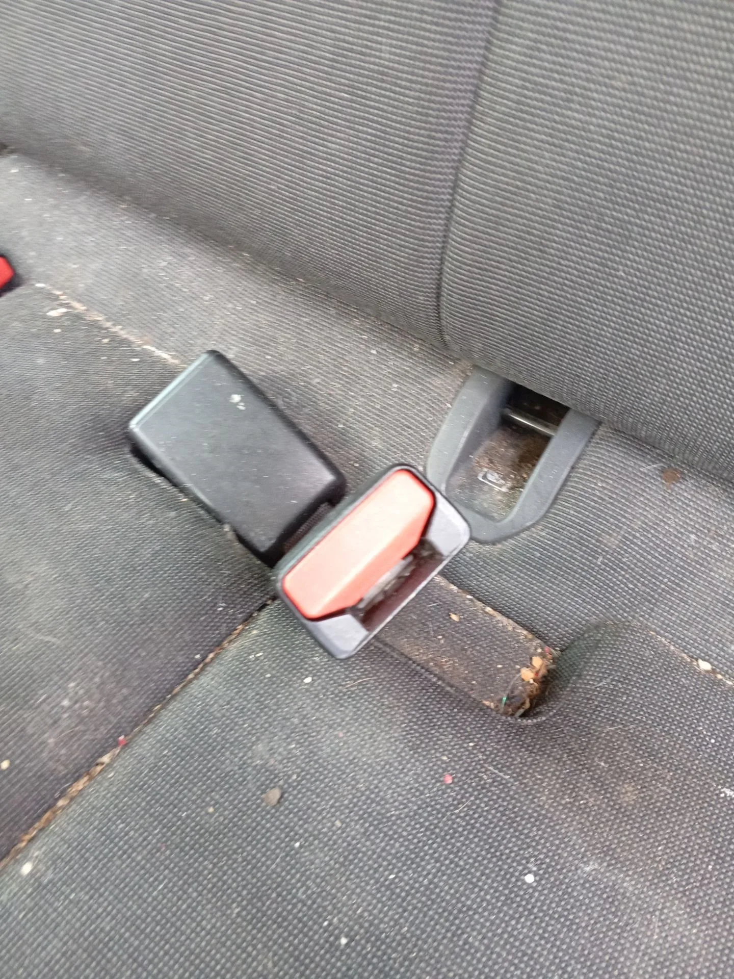 Enganche Cinturon Trasero Izquierdo para Ford Transit Courier B460 Furgoneta/Monovolumen