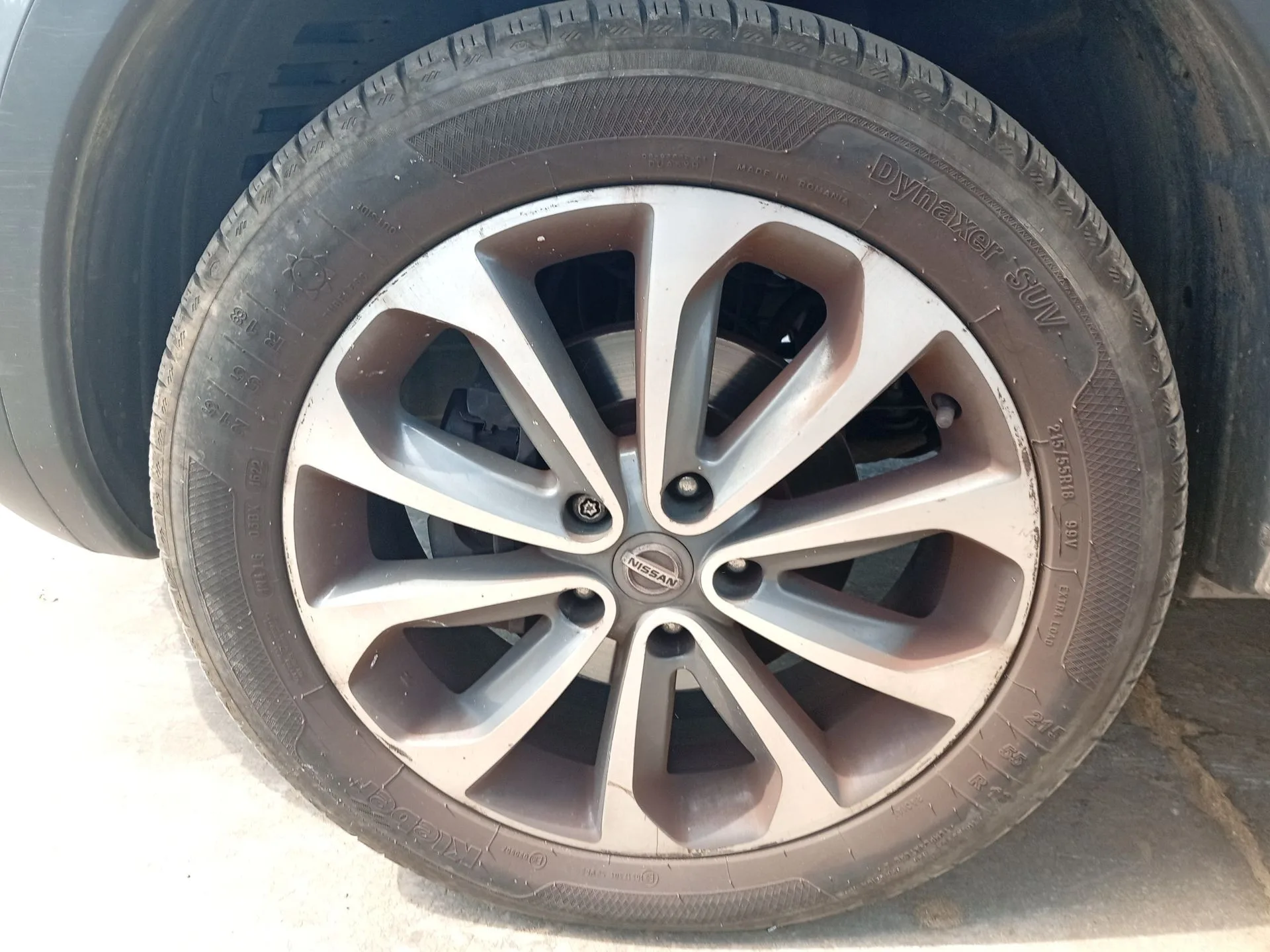 Mangueta Delantera Izquierda para Nissan Qashqai I (J10, Nj10)