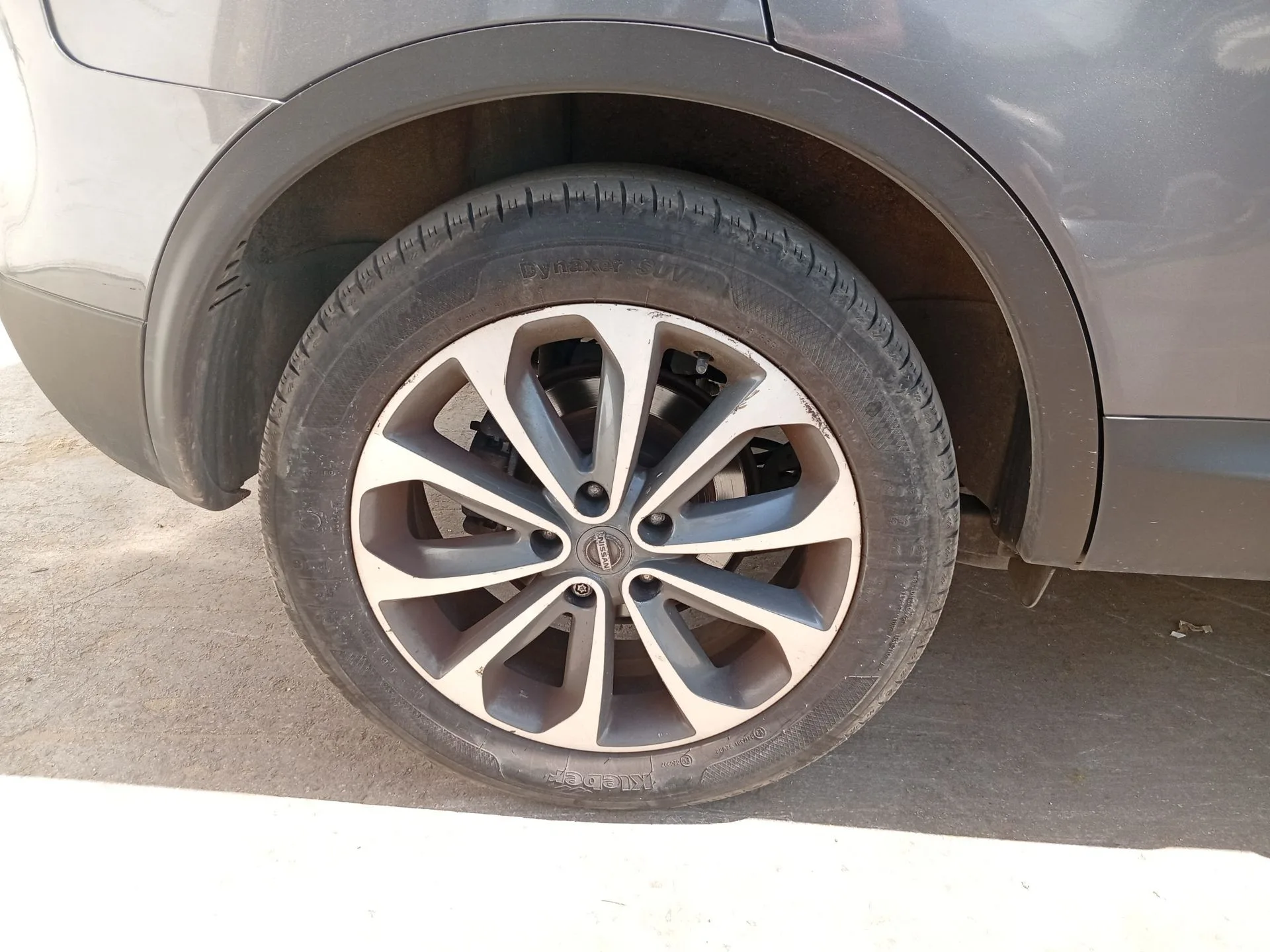 Mangueta Trasera Derecha para Nissan Qashqai I (J10, Nj10)